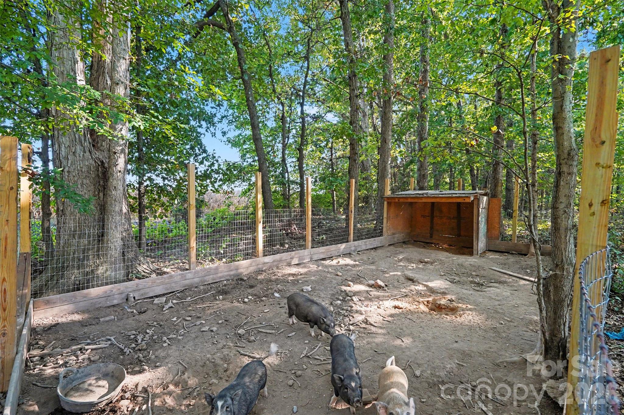 main property photo 26