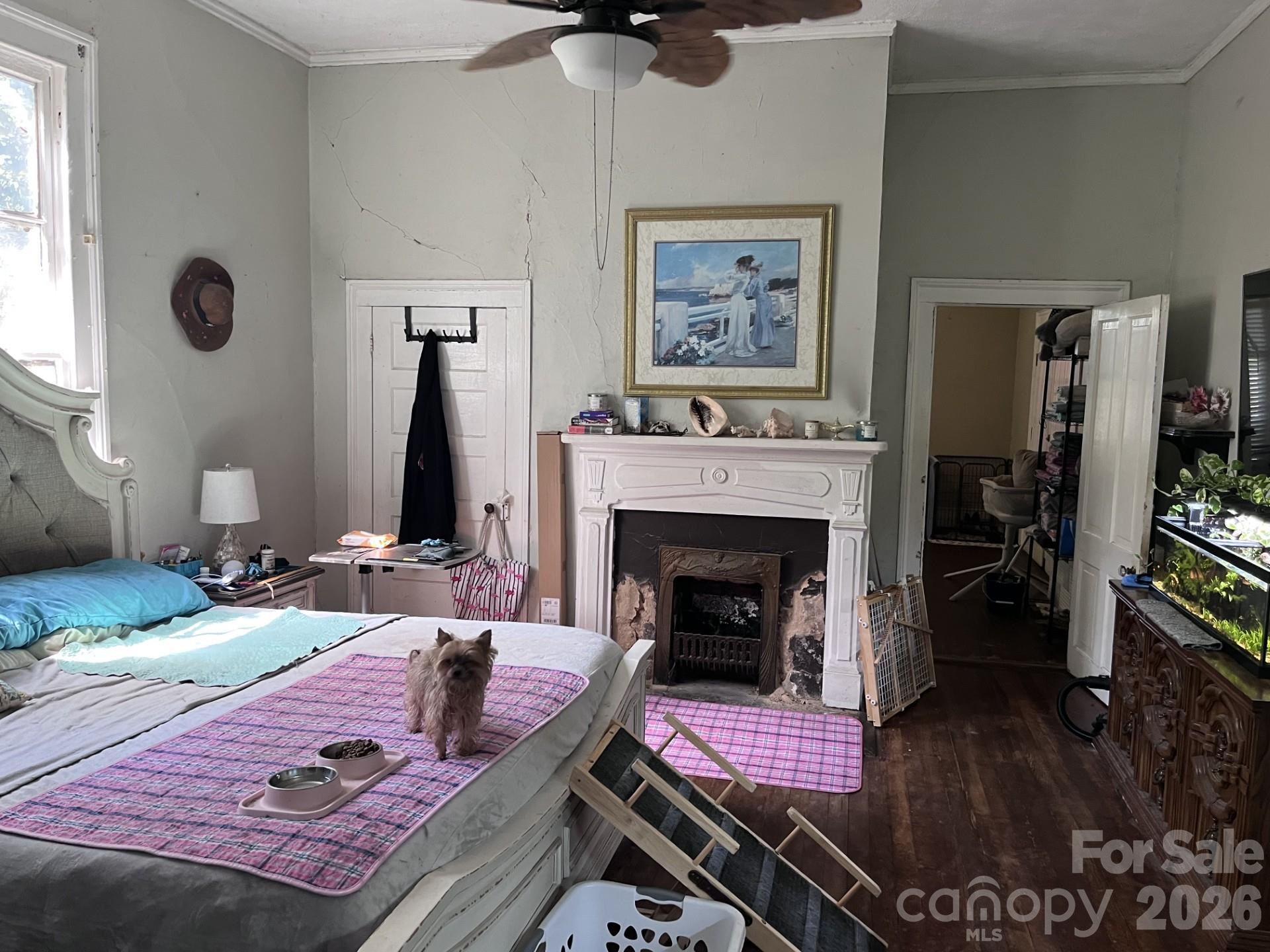 main property photo 11