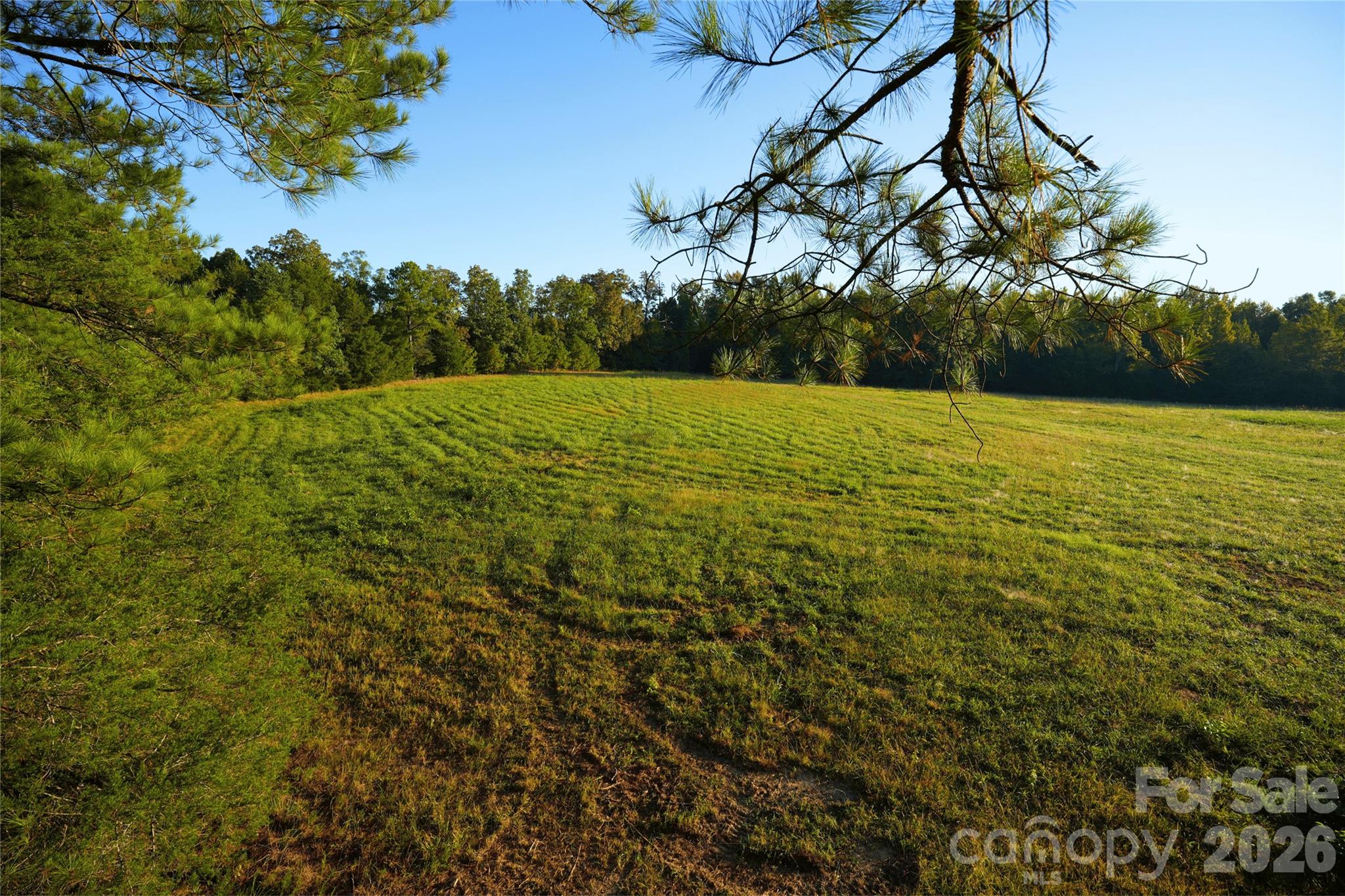 main property photo 10