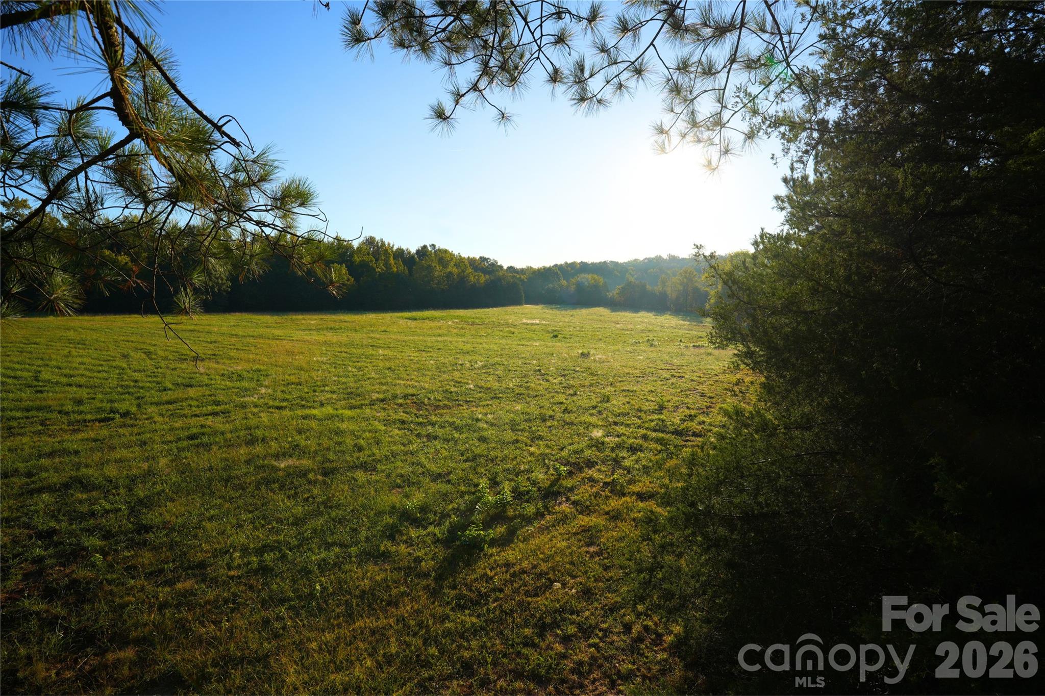 main property photo 11