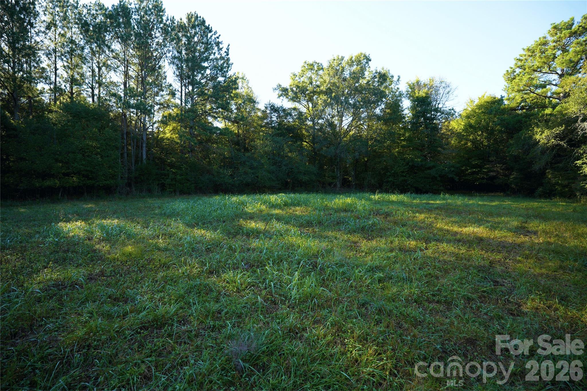 main property photo 40