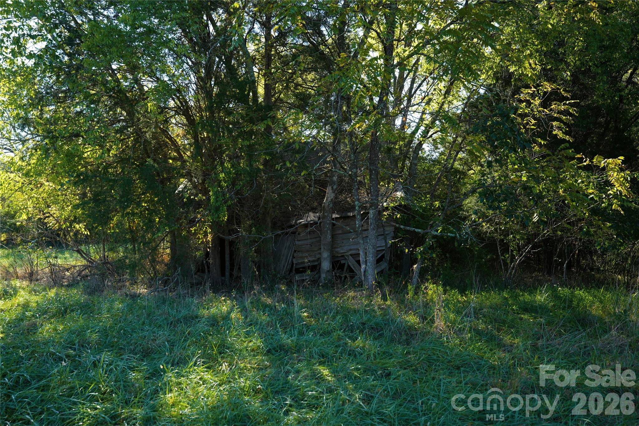 main property photo 42