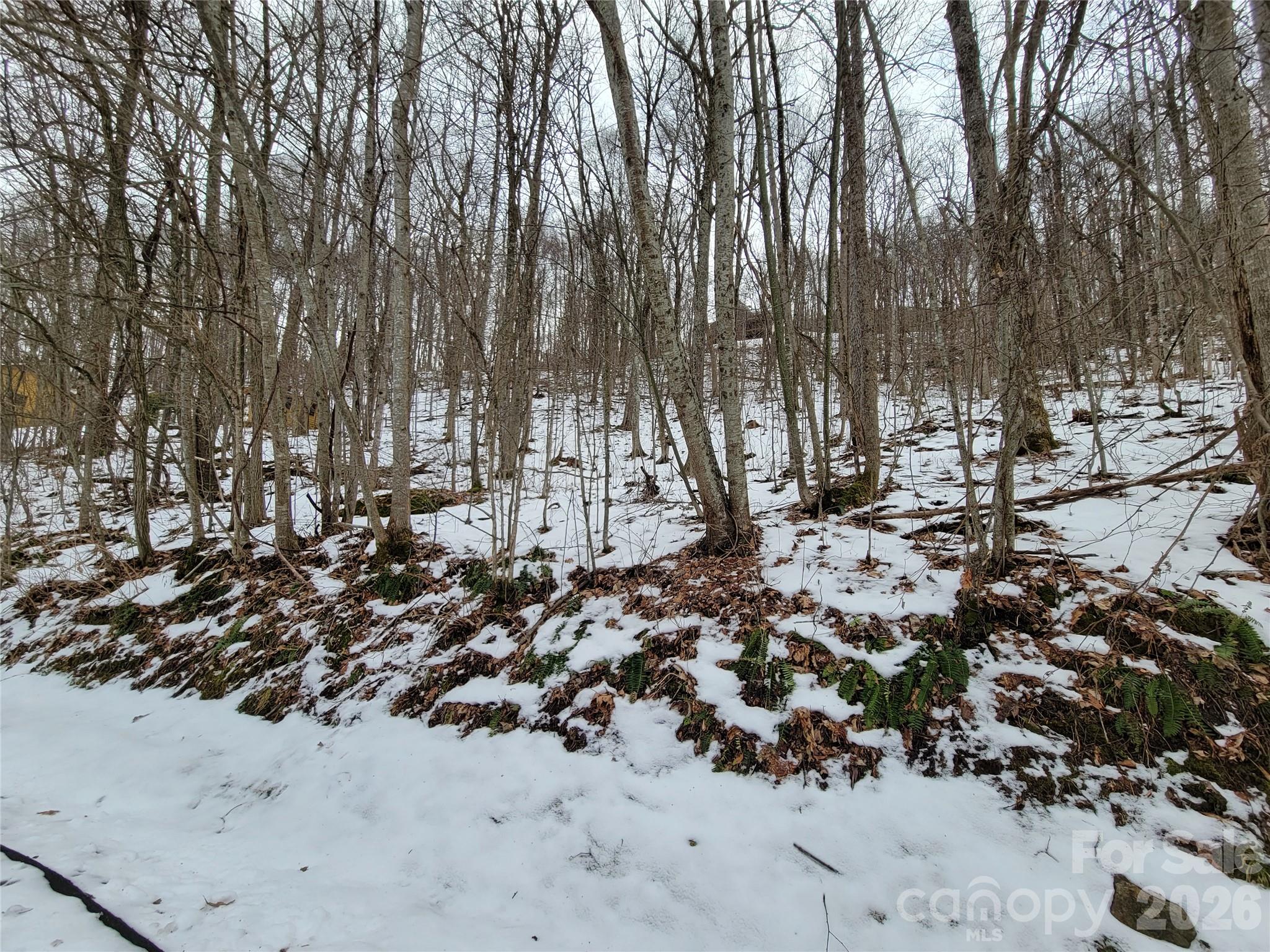 main property photo 13