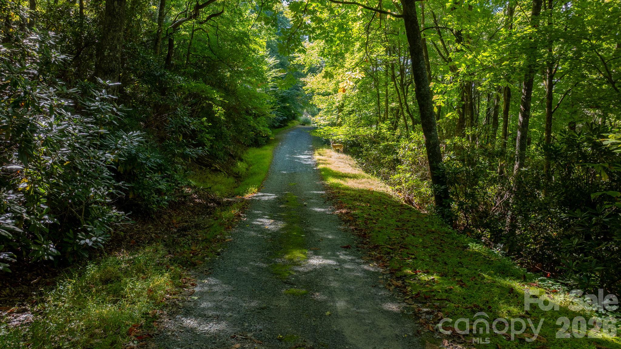 main property photo 38