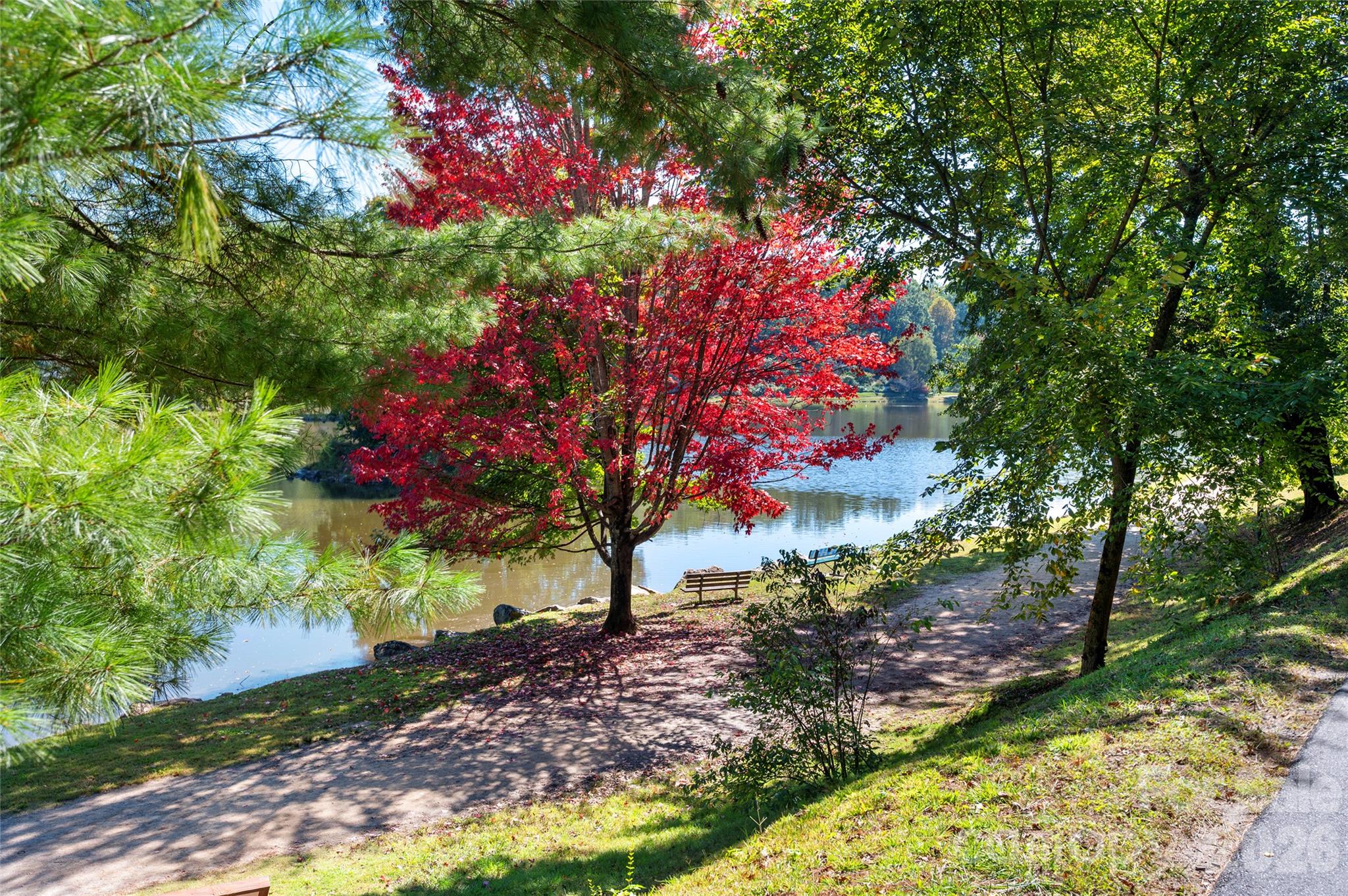 main property photo 38