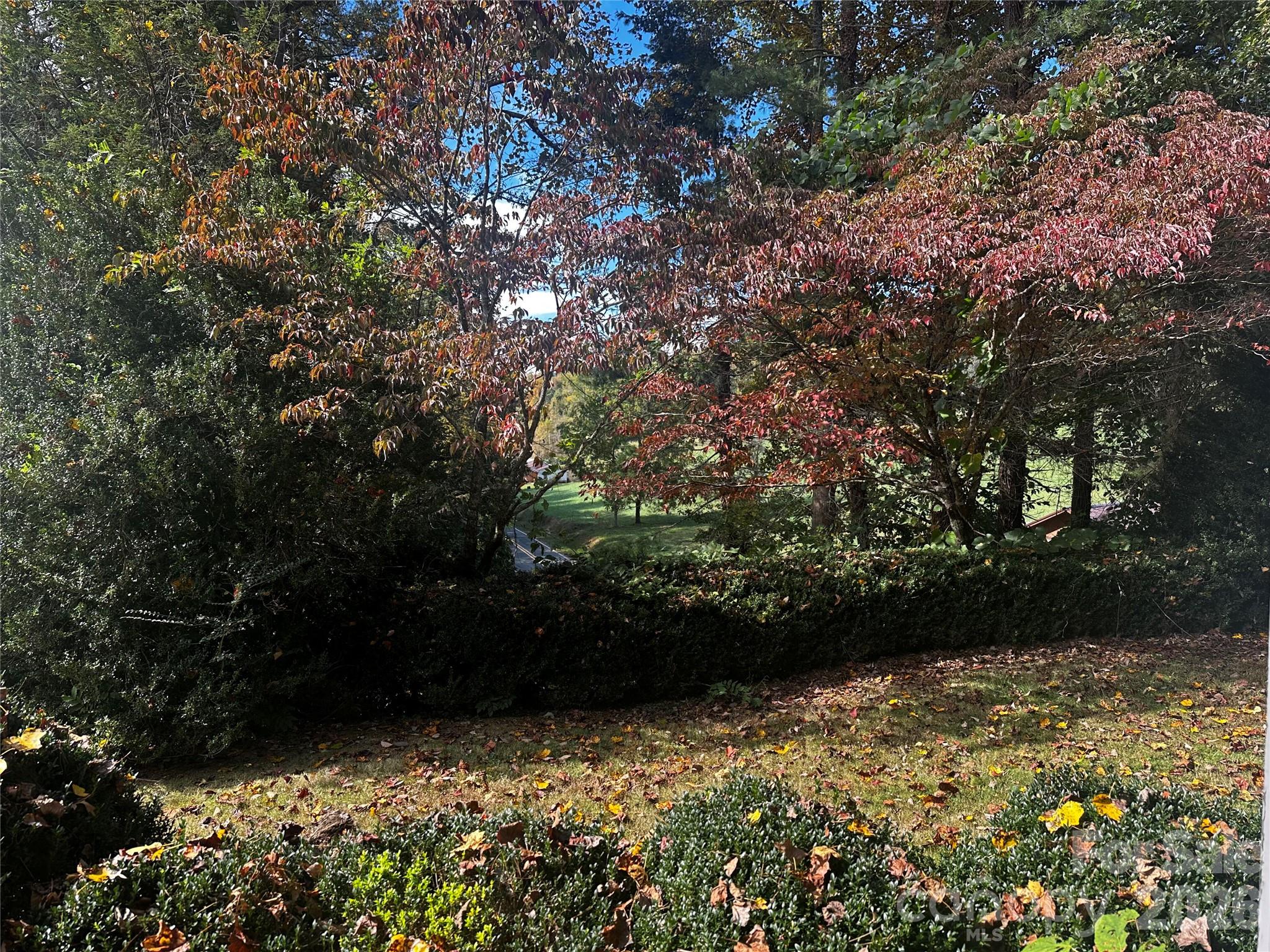 main property photo 33