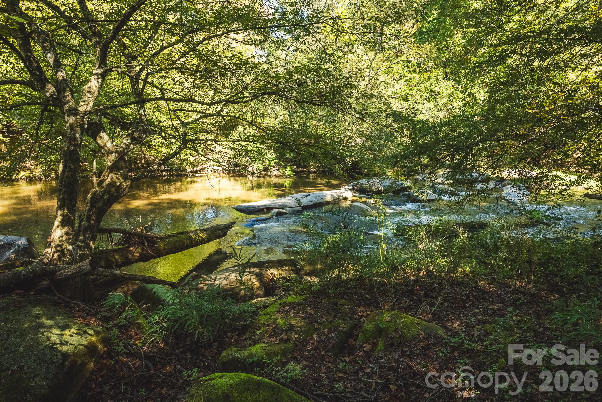 main property photo 42
