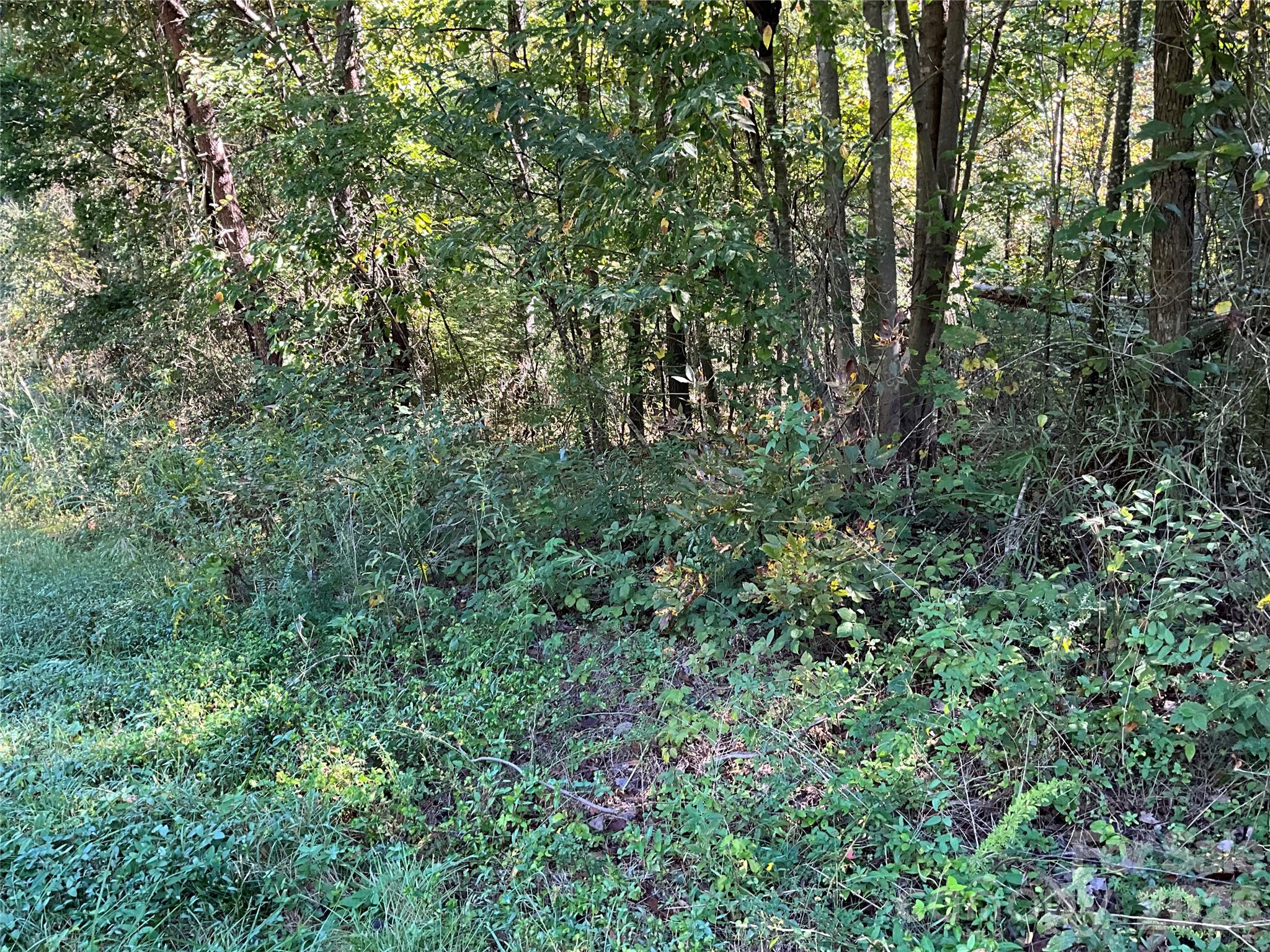 main property photo 27