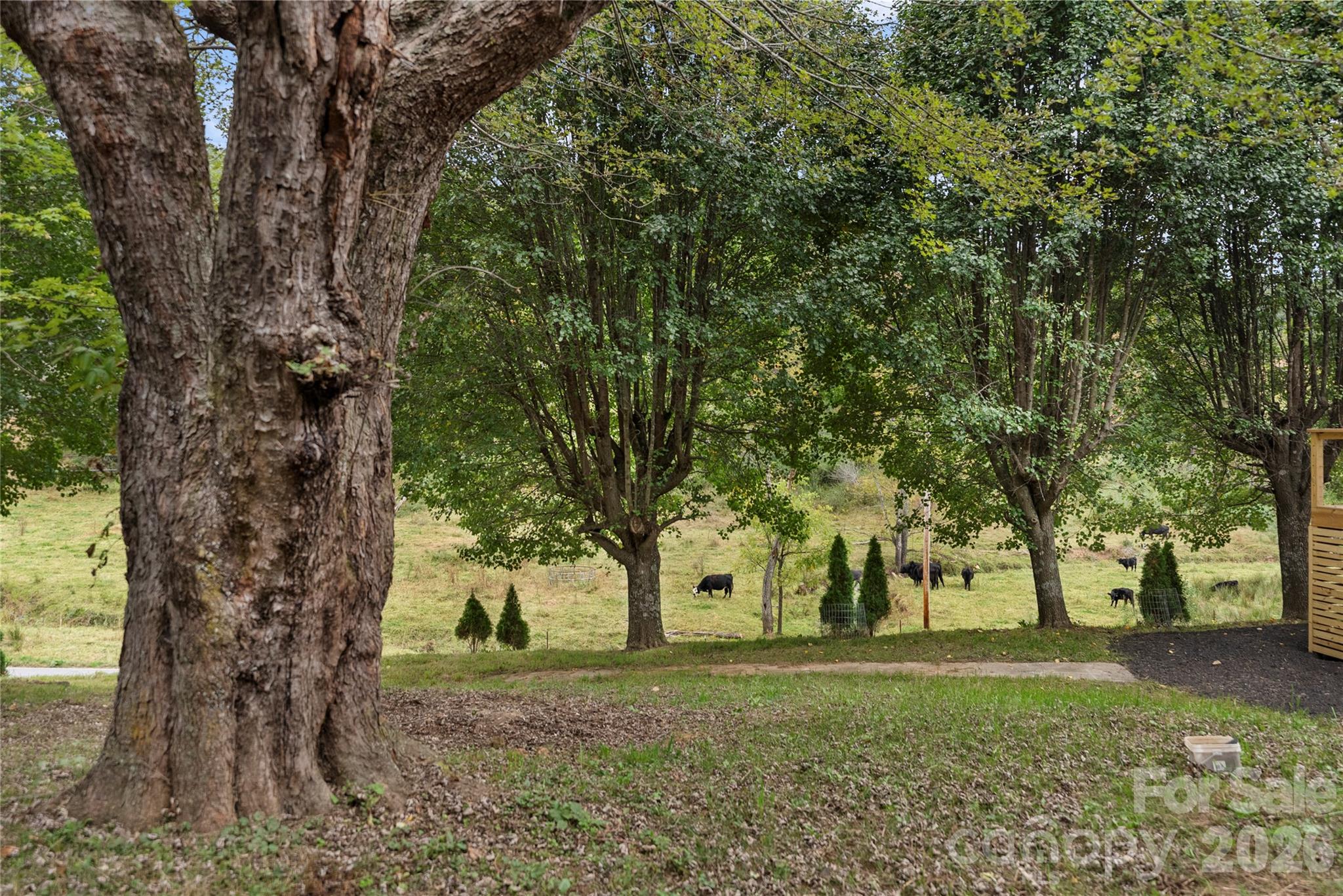 main property photo 46