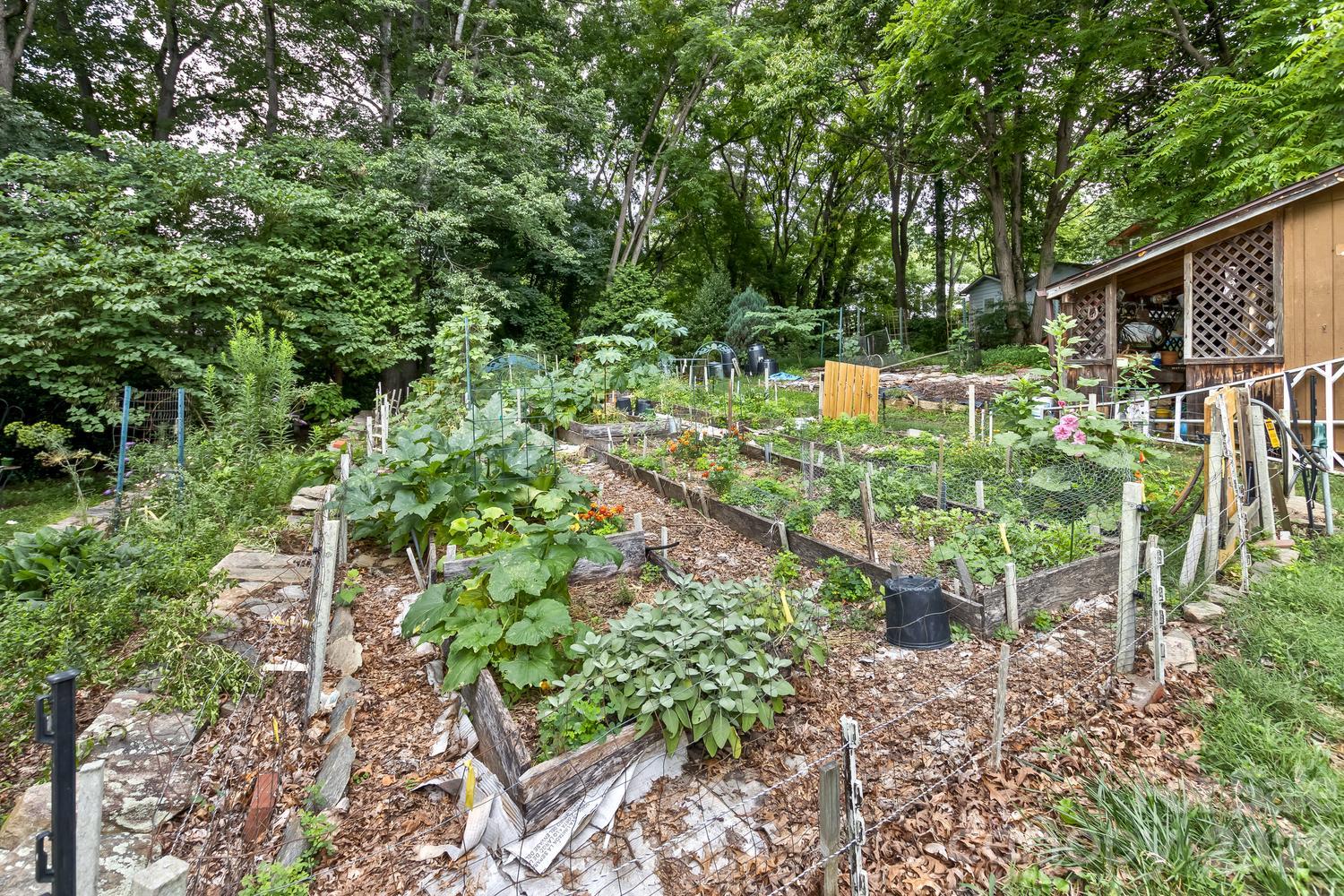 main property photo 40
