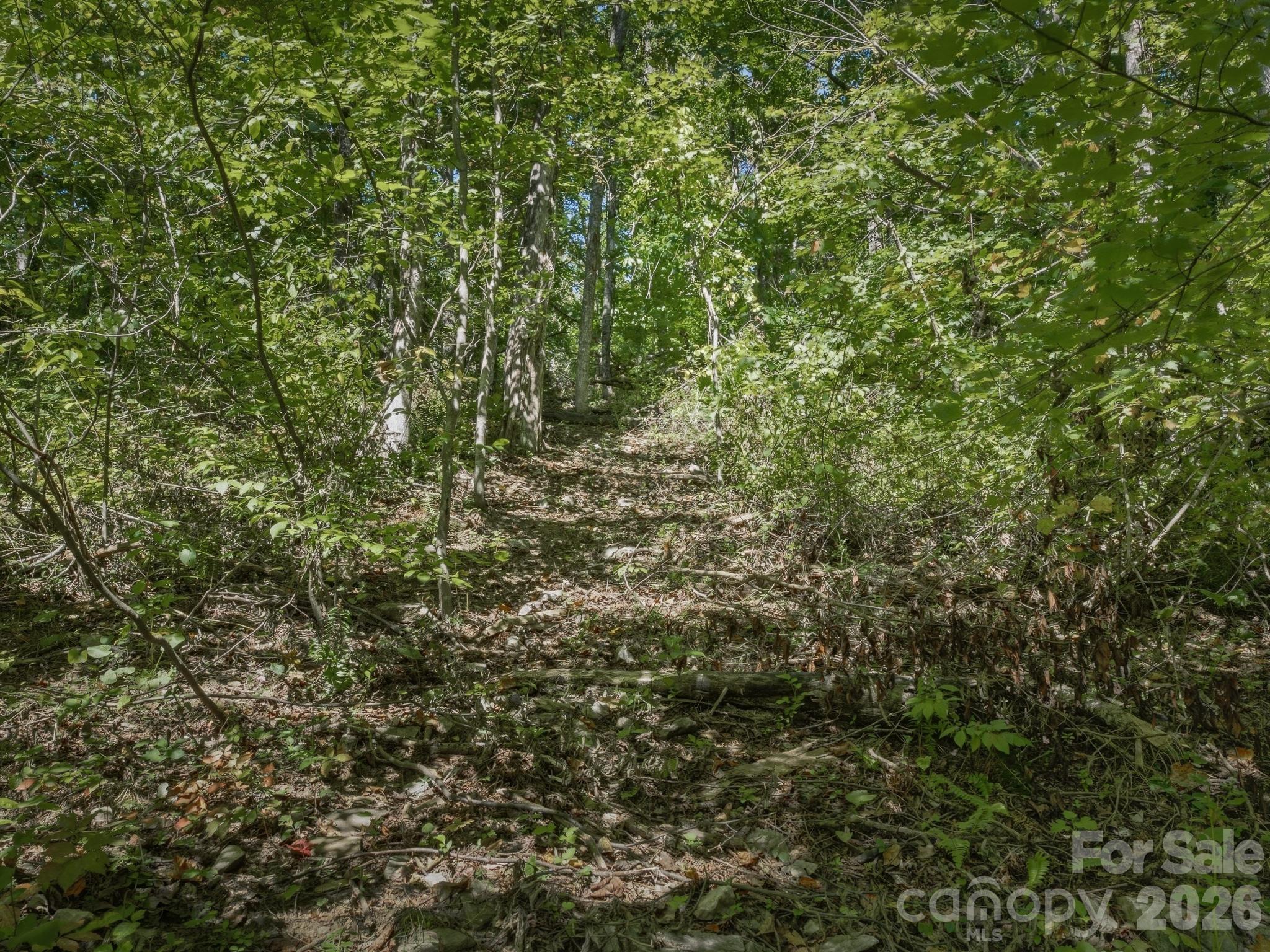 main property photo 25
