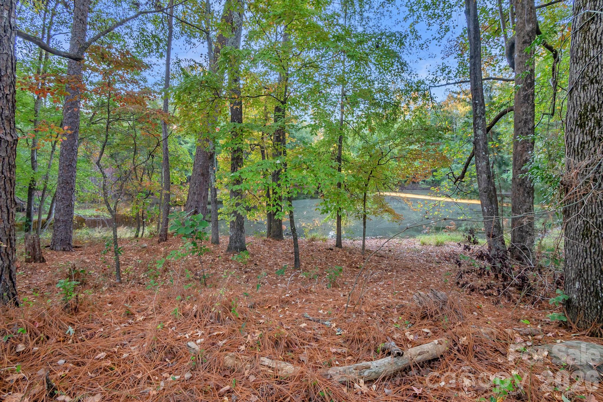 main property photo 31