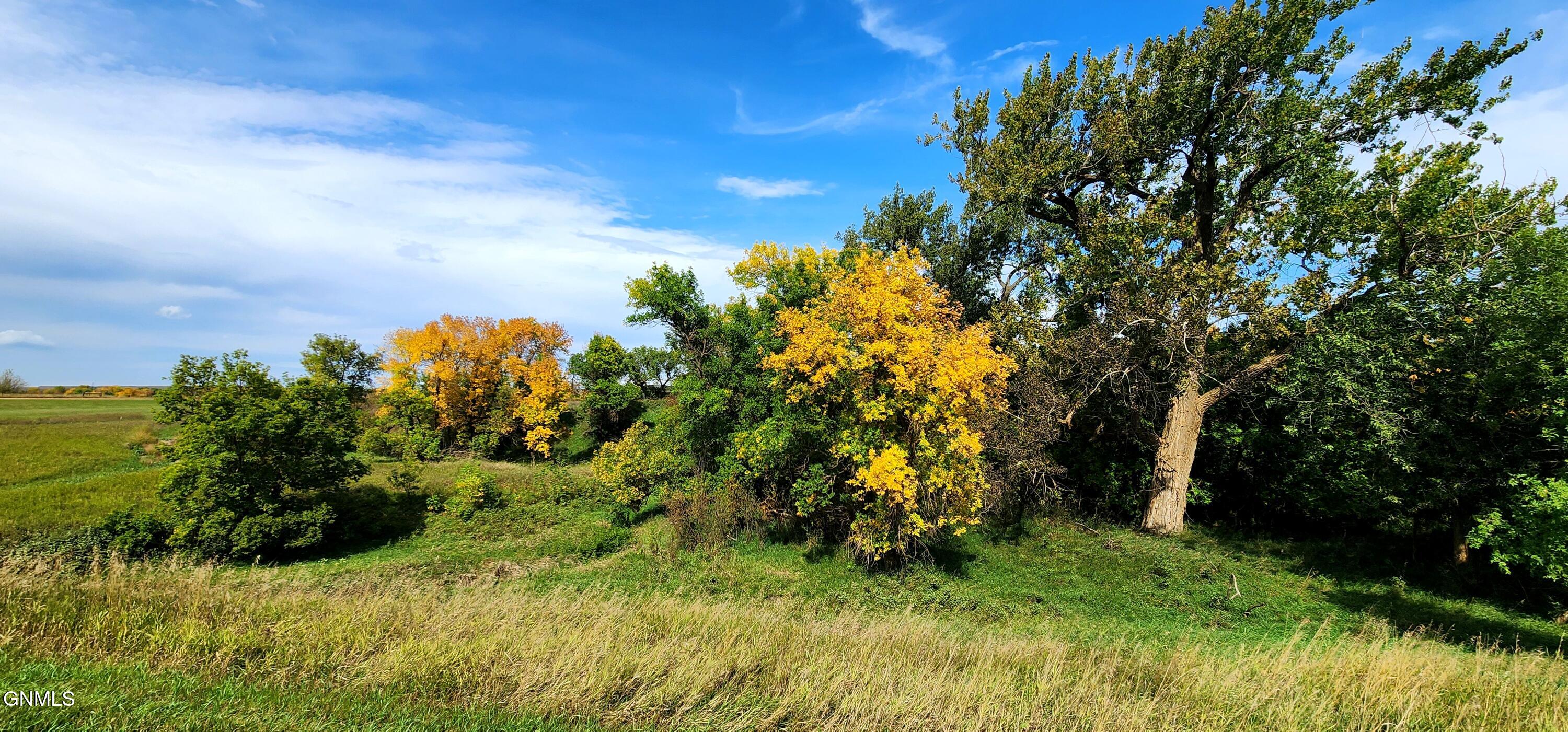 main property photo 54