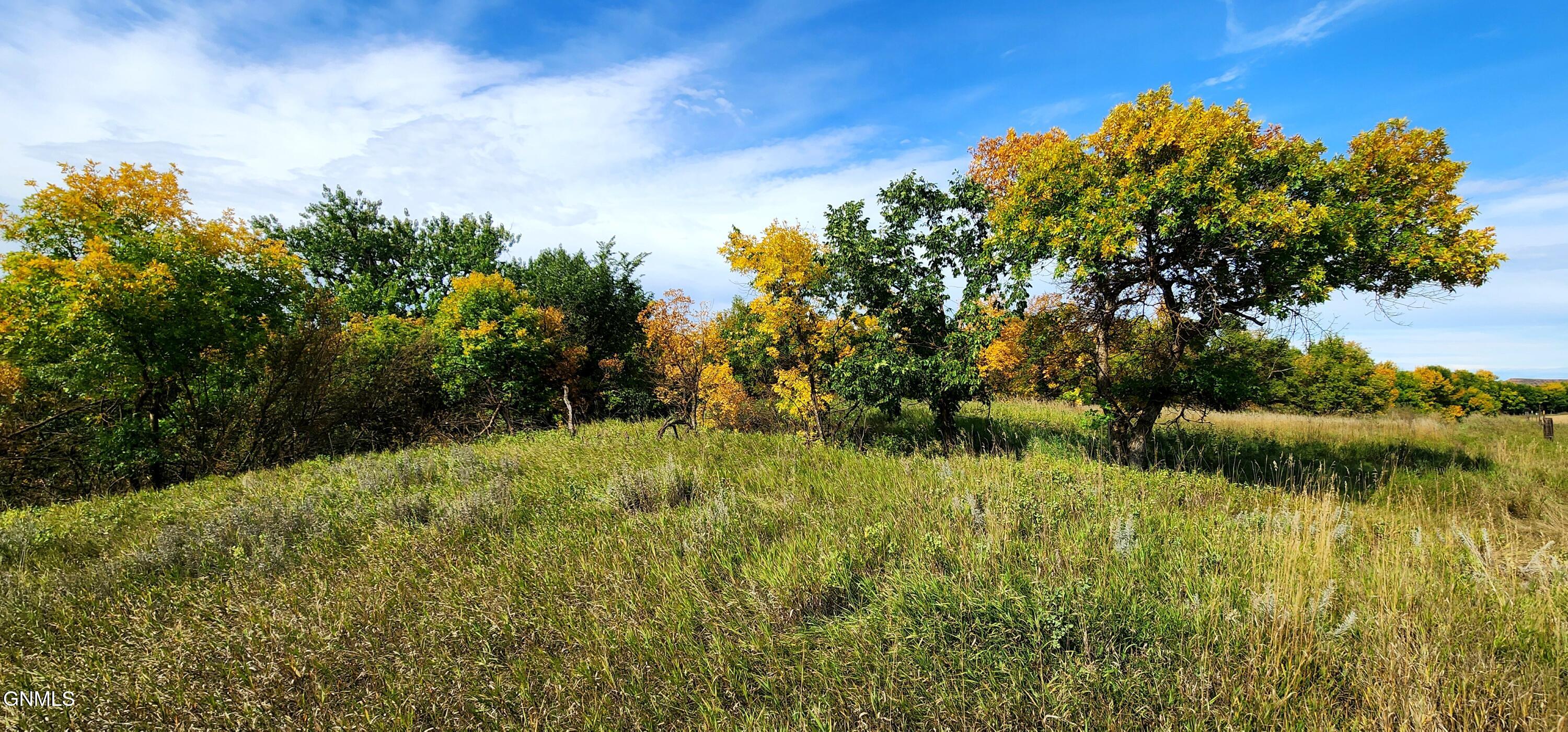 main property photo 57