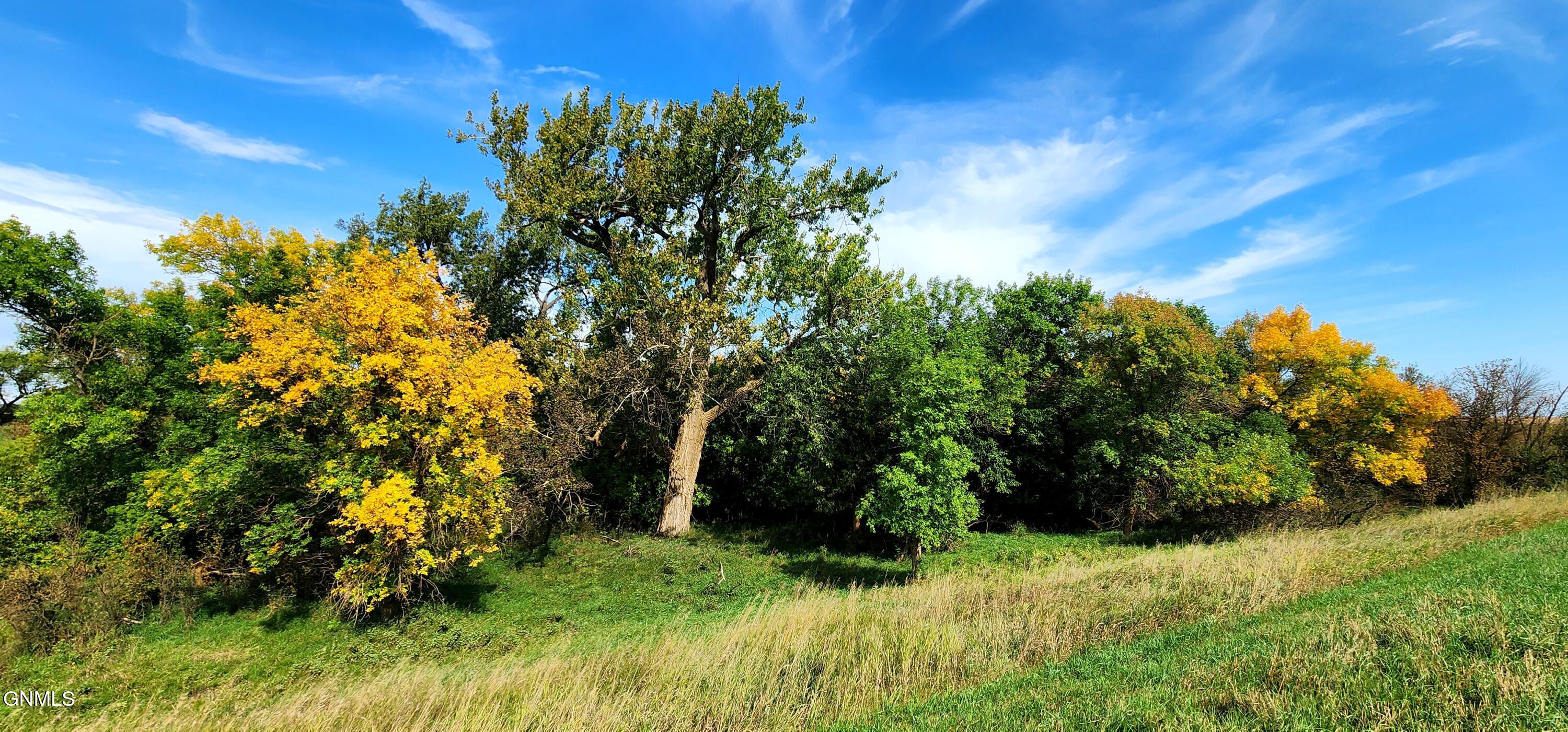 main property photo 58