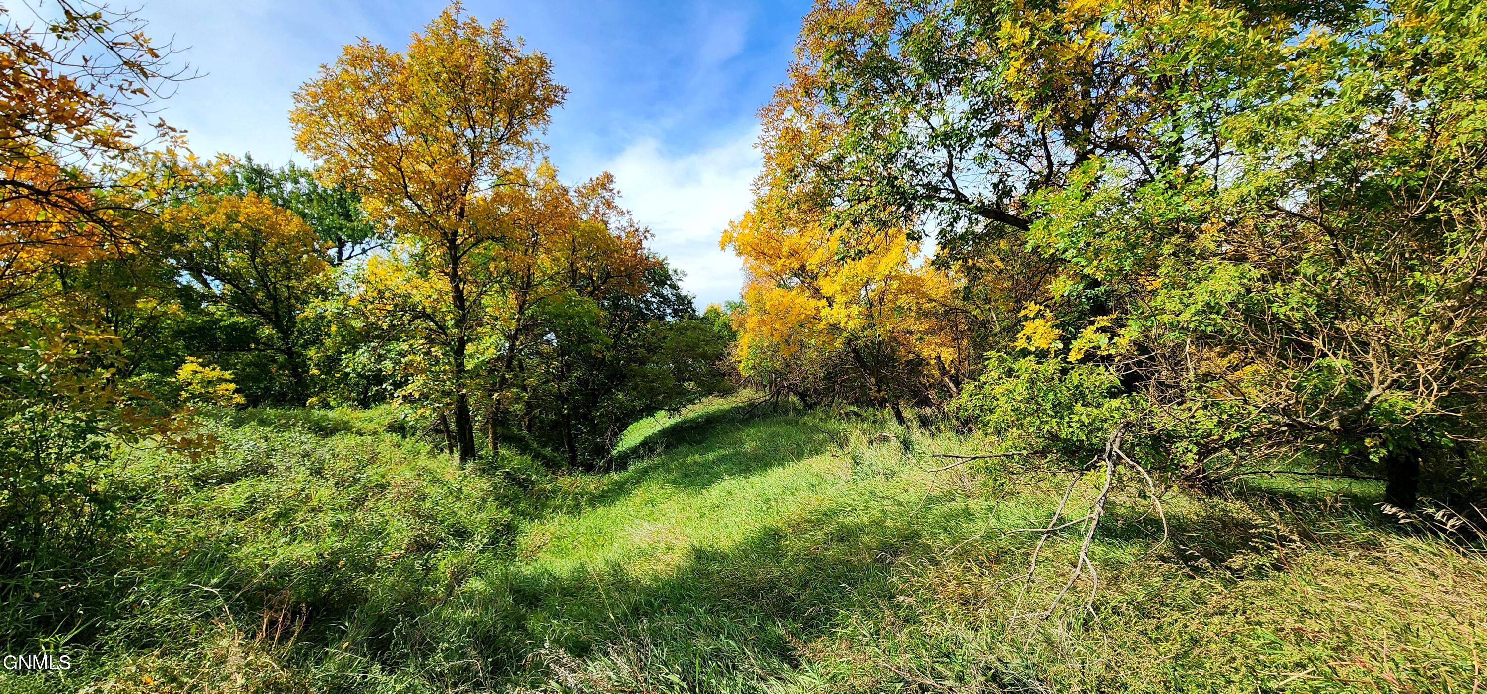 main property photo 60