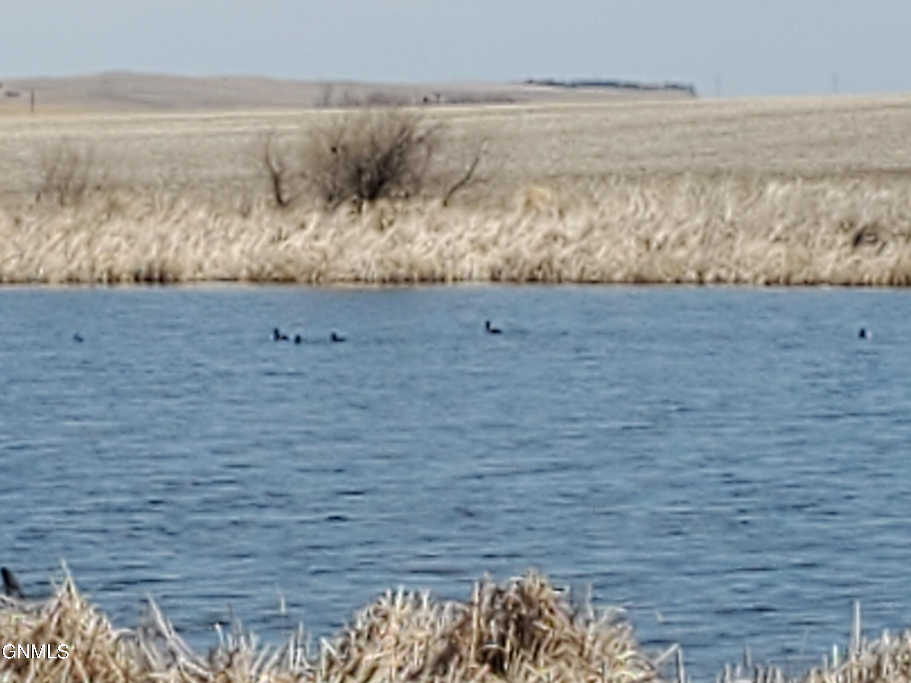 property viewer photo 63