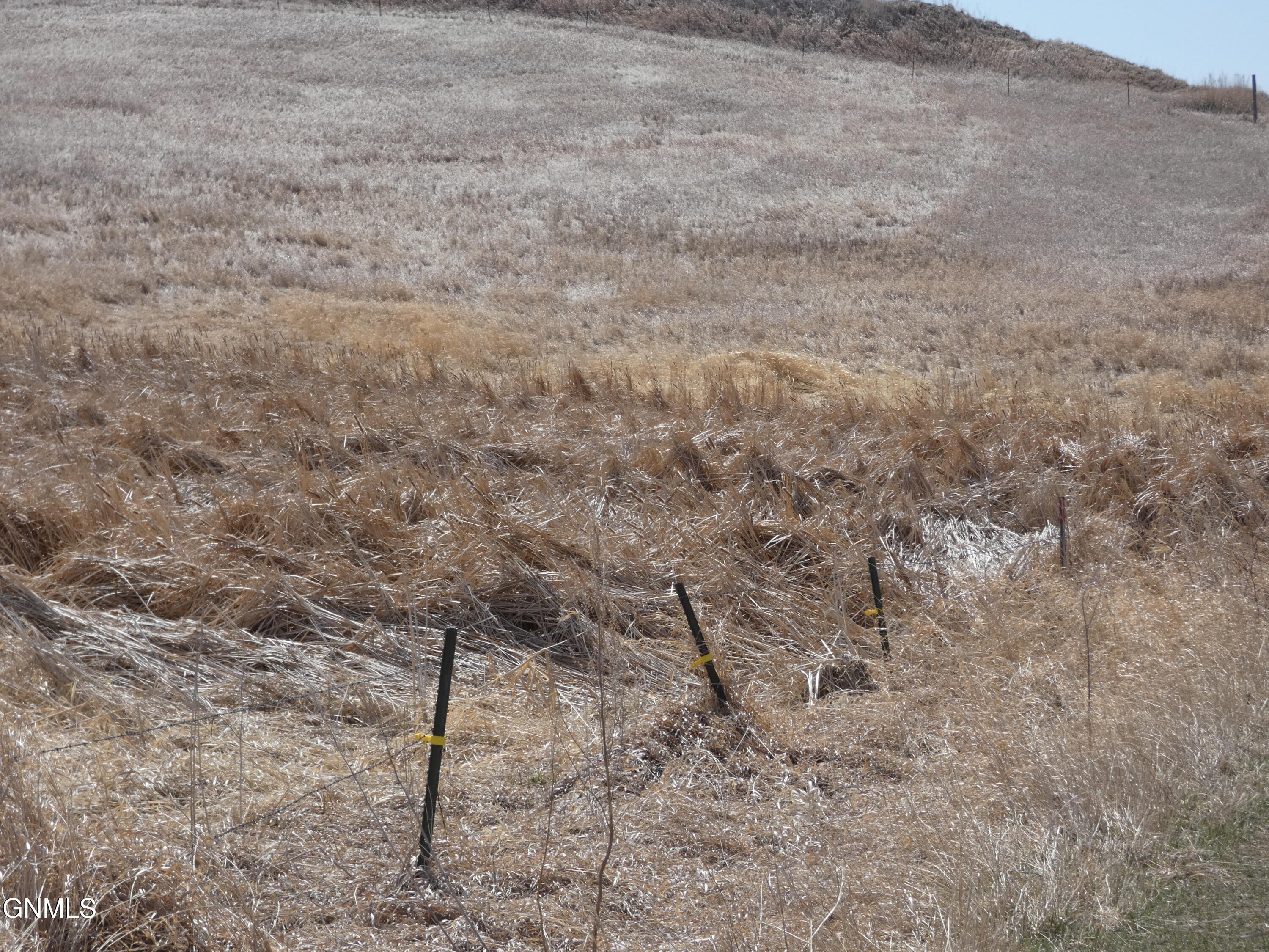 property viewer photo 73