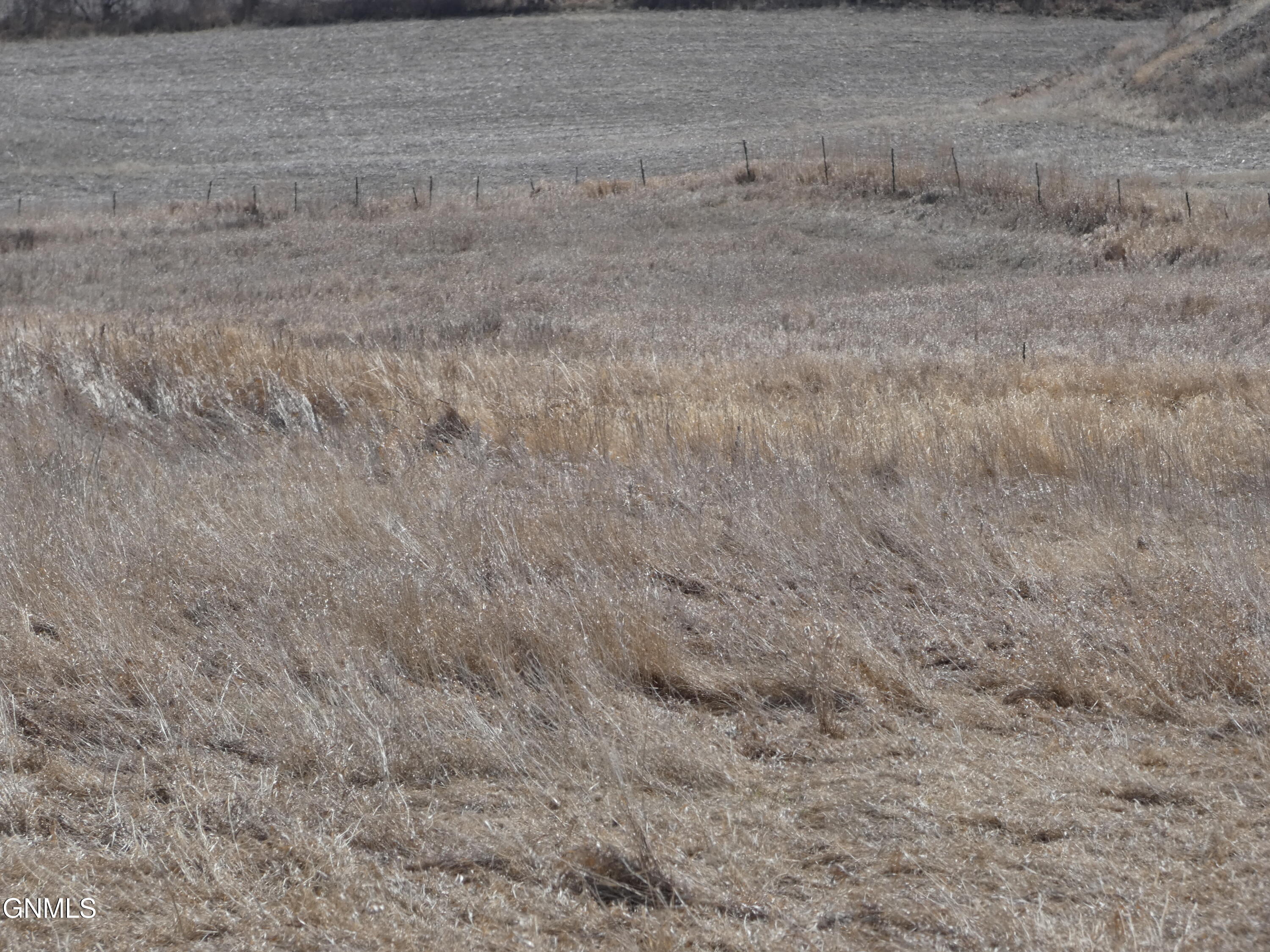 property viewer photo 76