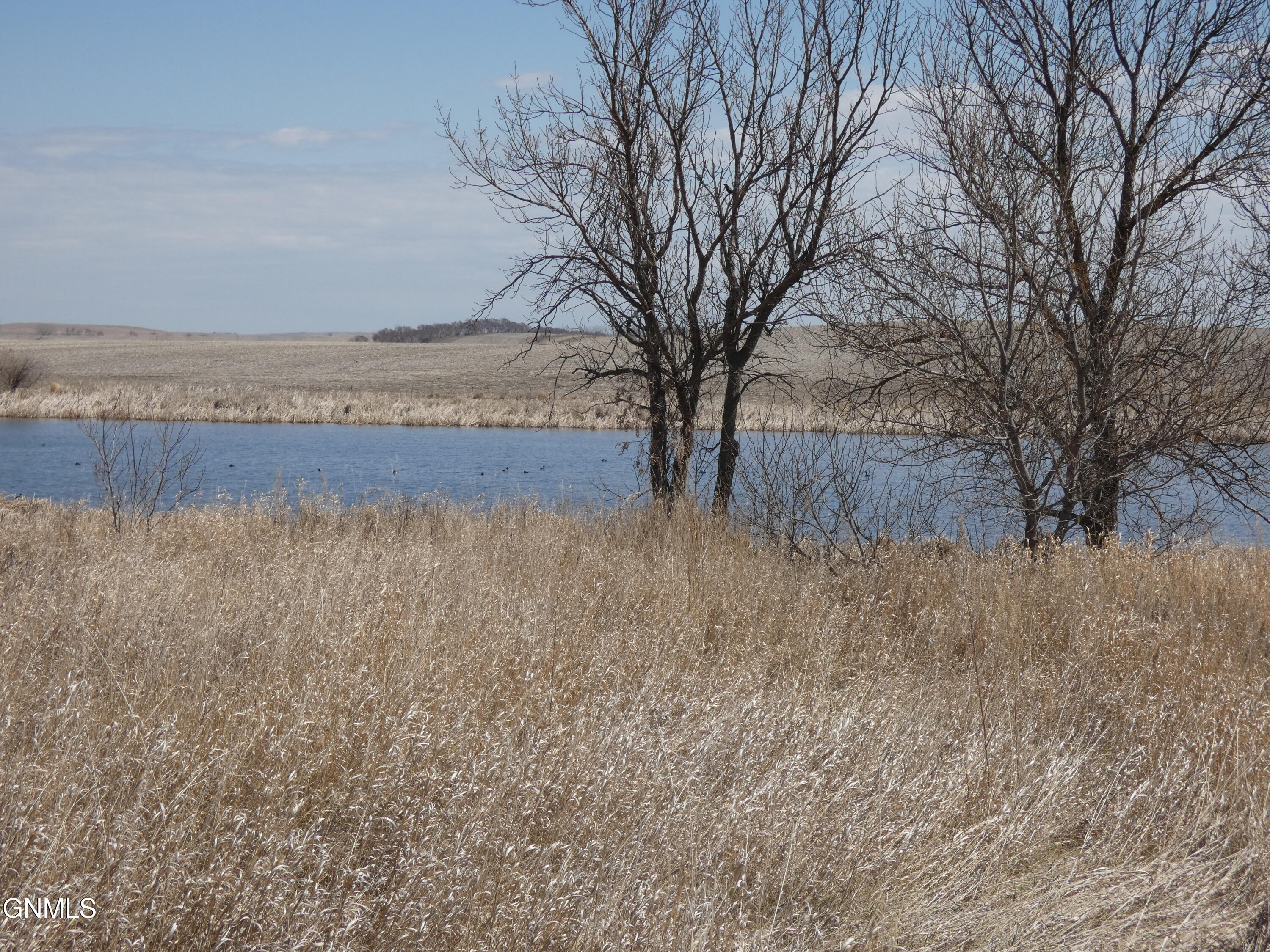 property viewer photo 79