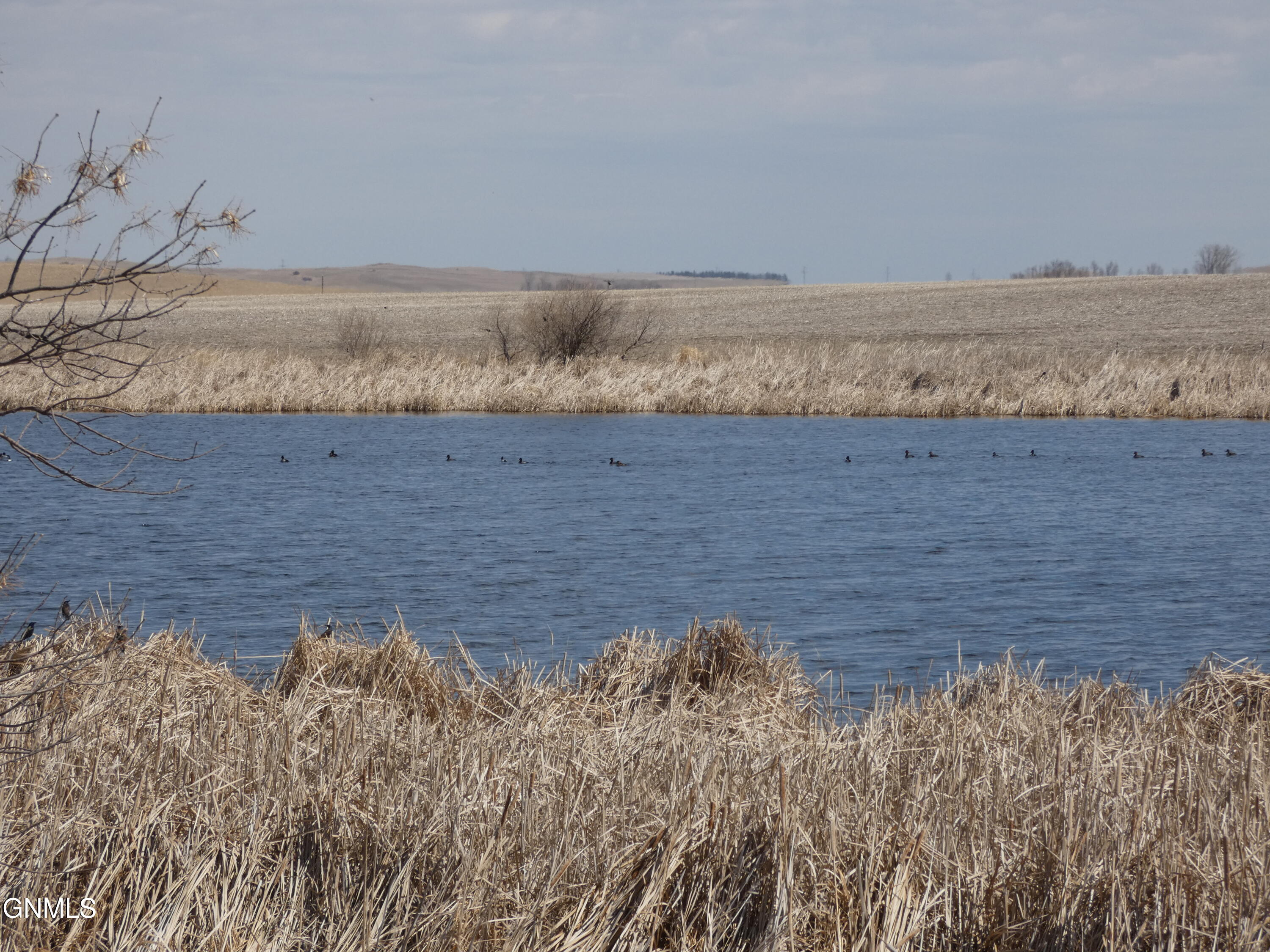 property viewer photo 81