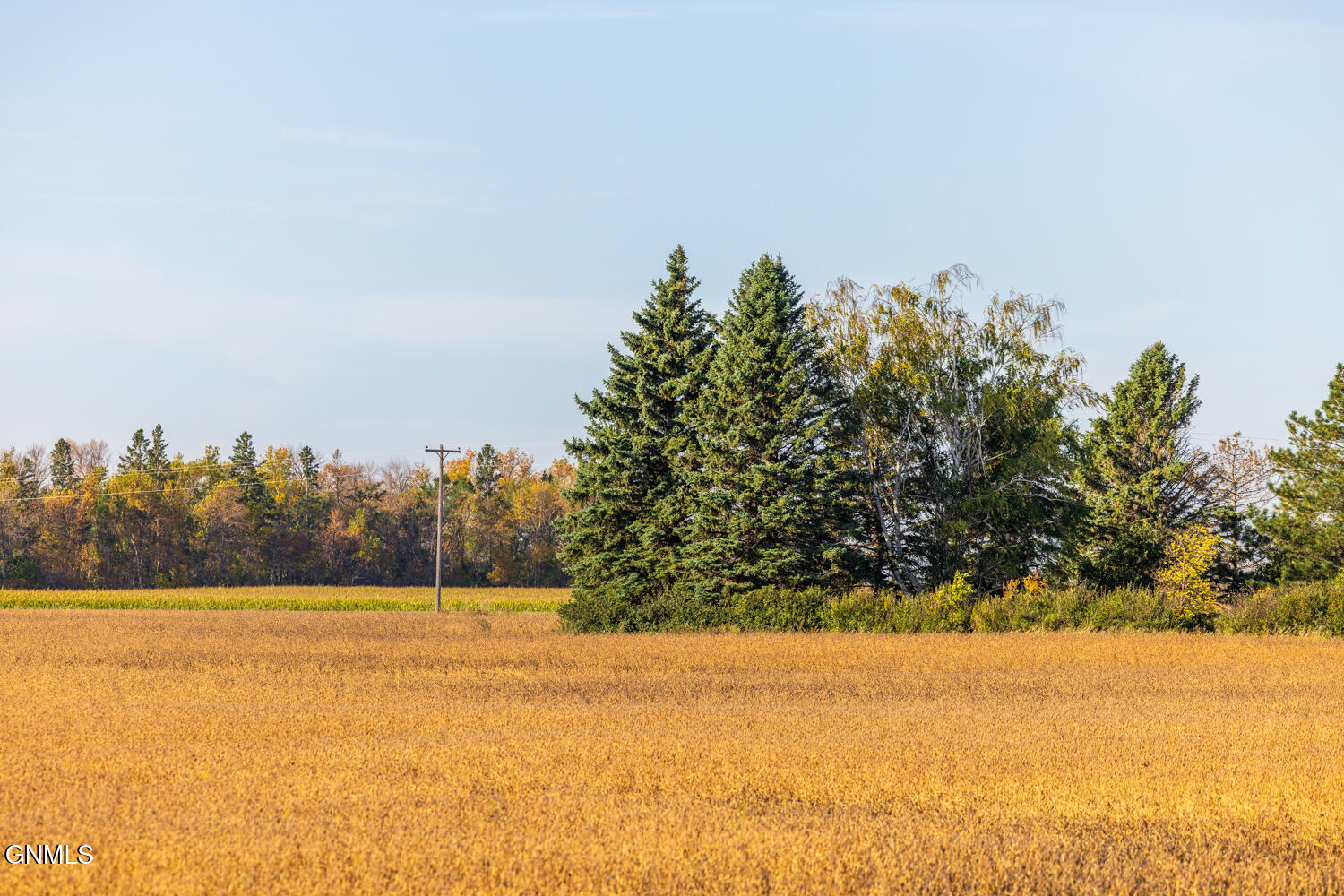 property viewer photo 20
