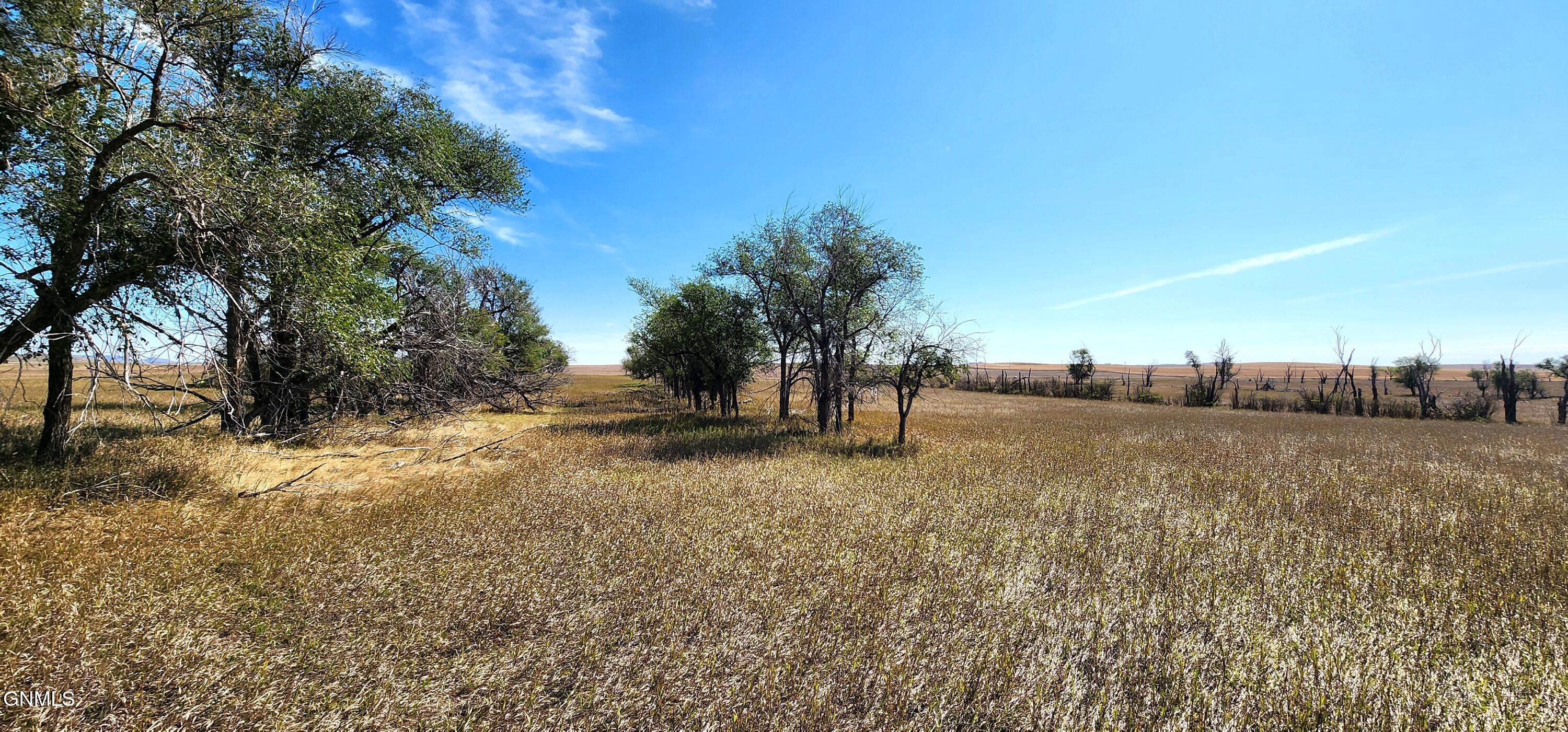 property viewer photo 12