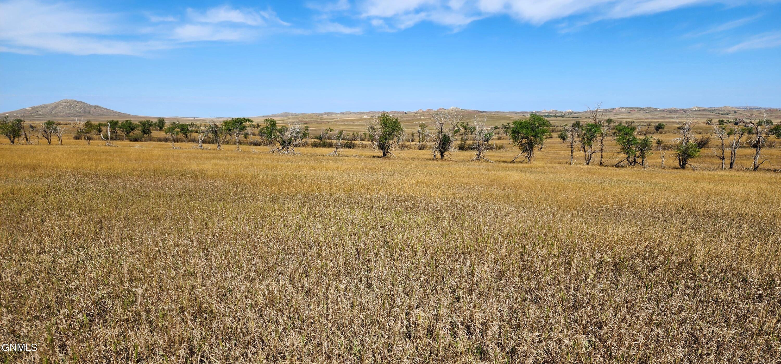 property viewer photo 21