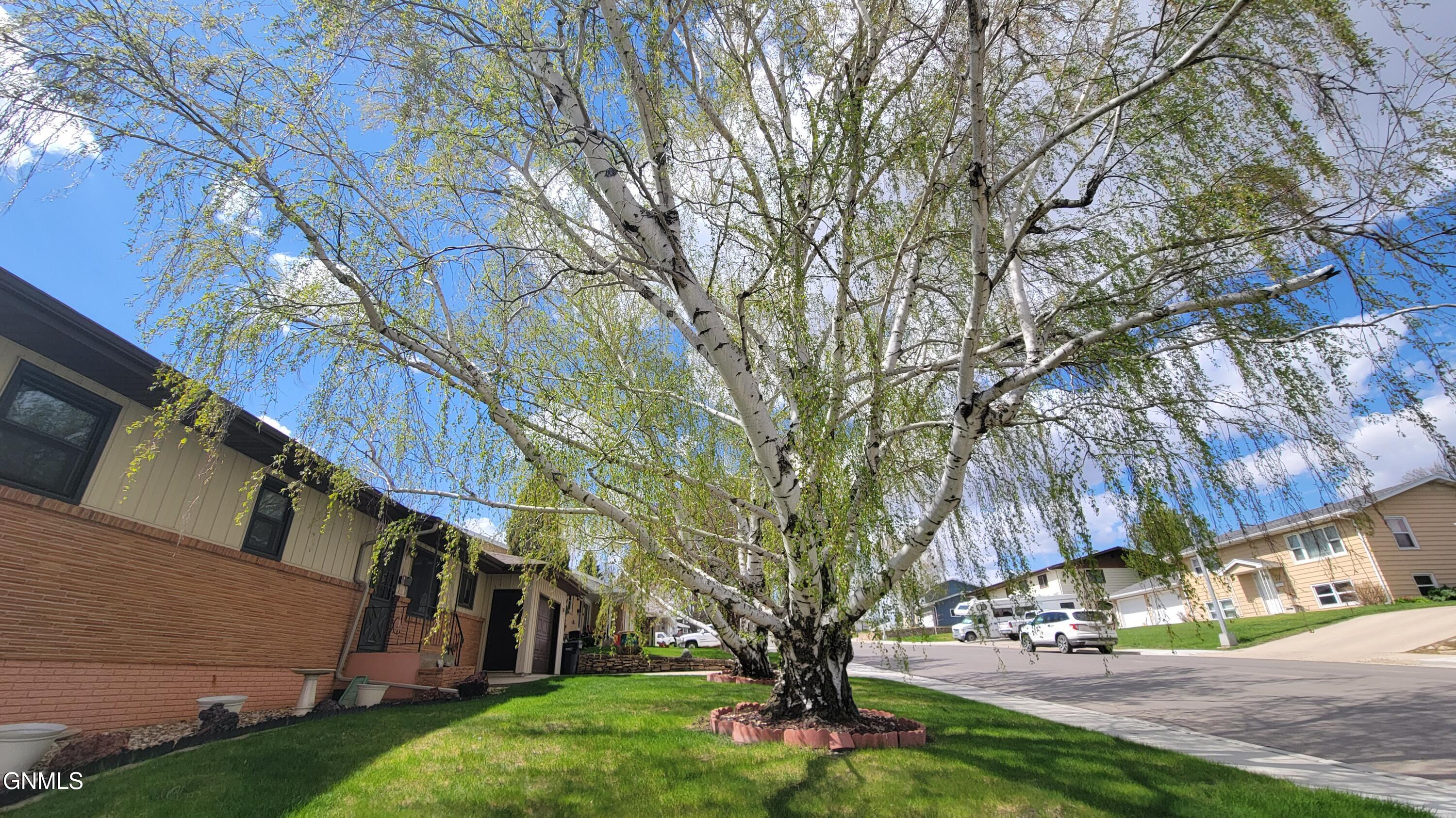 property viewer photo 2