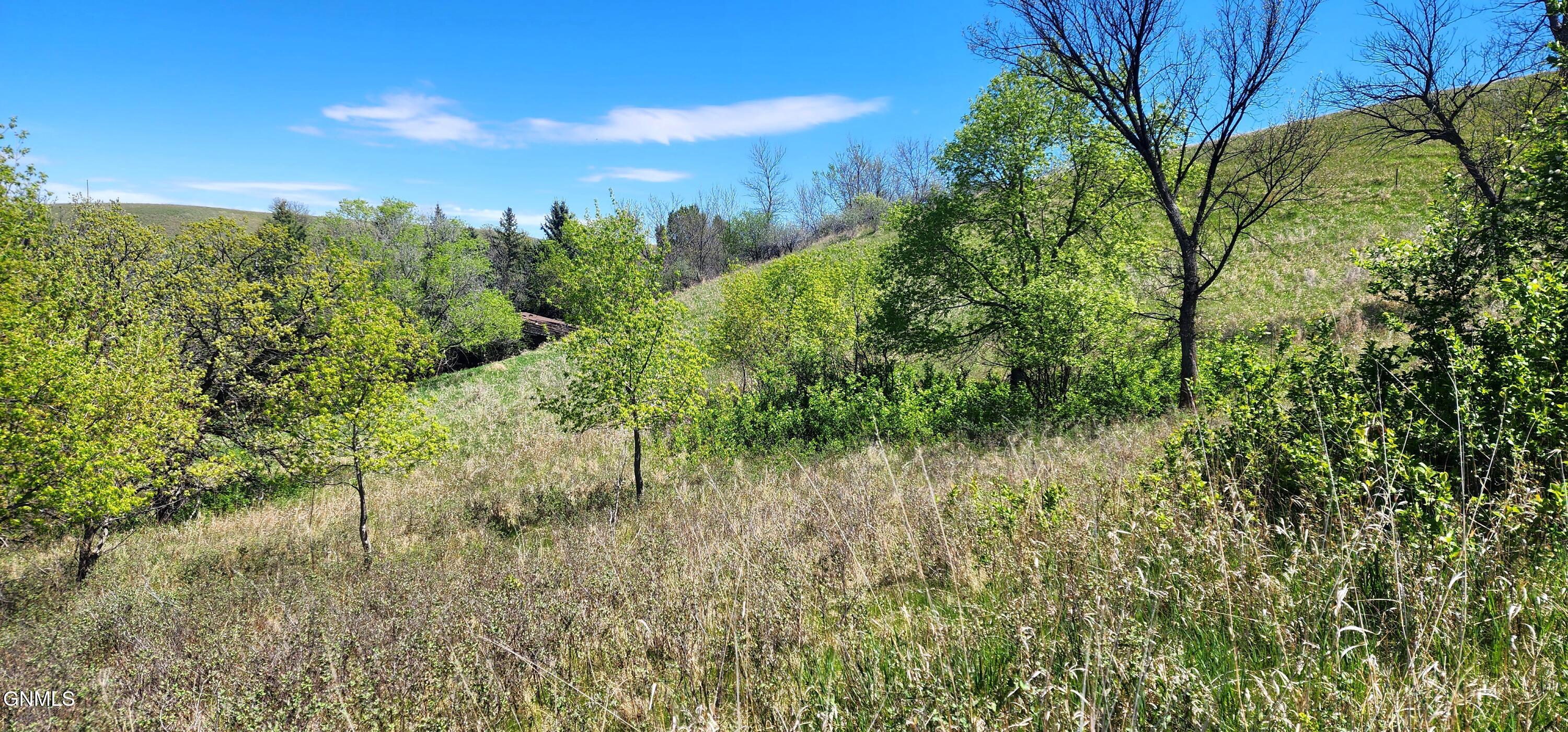 main property photo 54