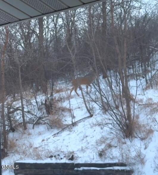 main property photo 66