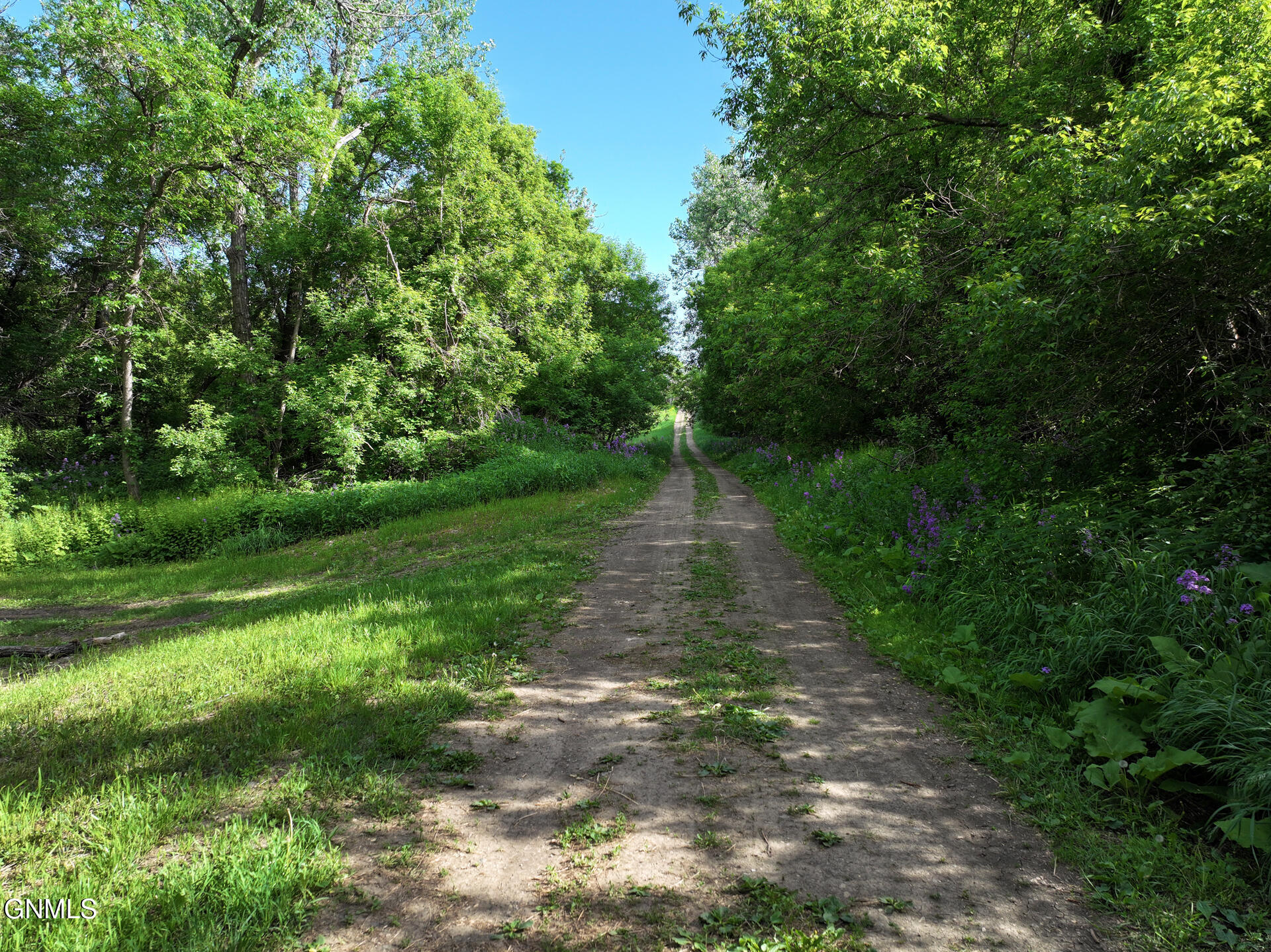 main property photo 41