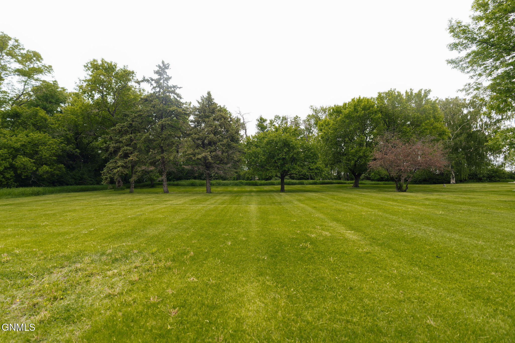 main property photo 67