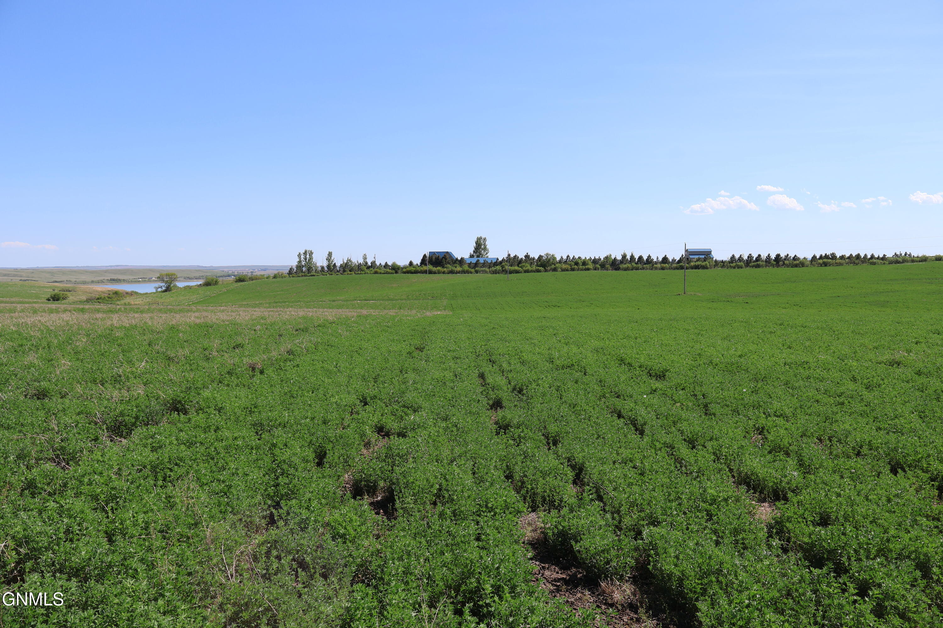 main property photo 143