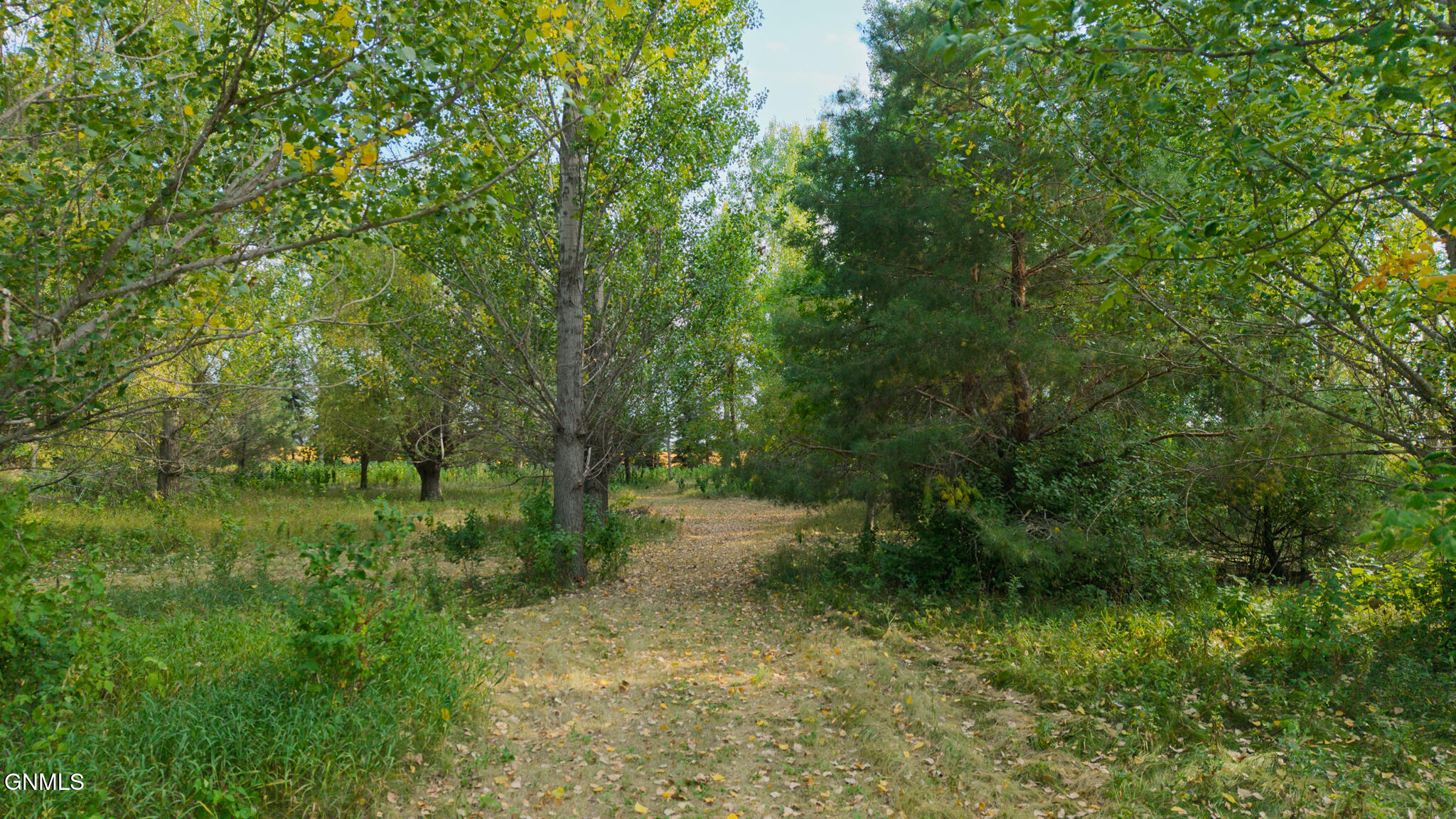 main property photo 53