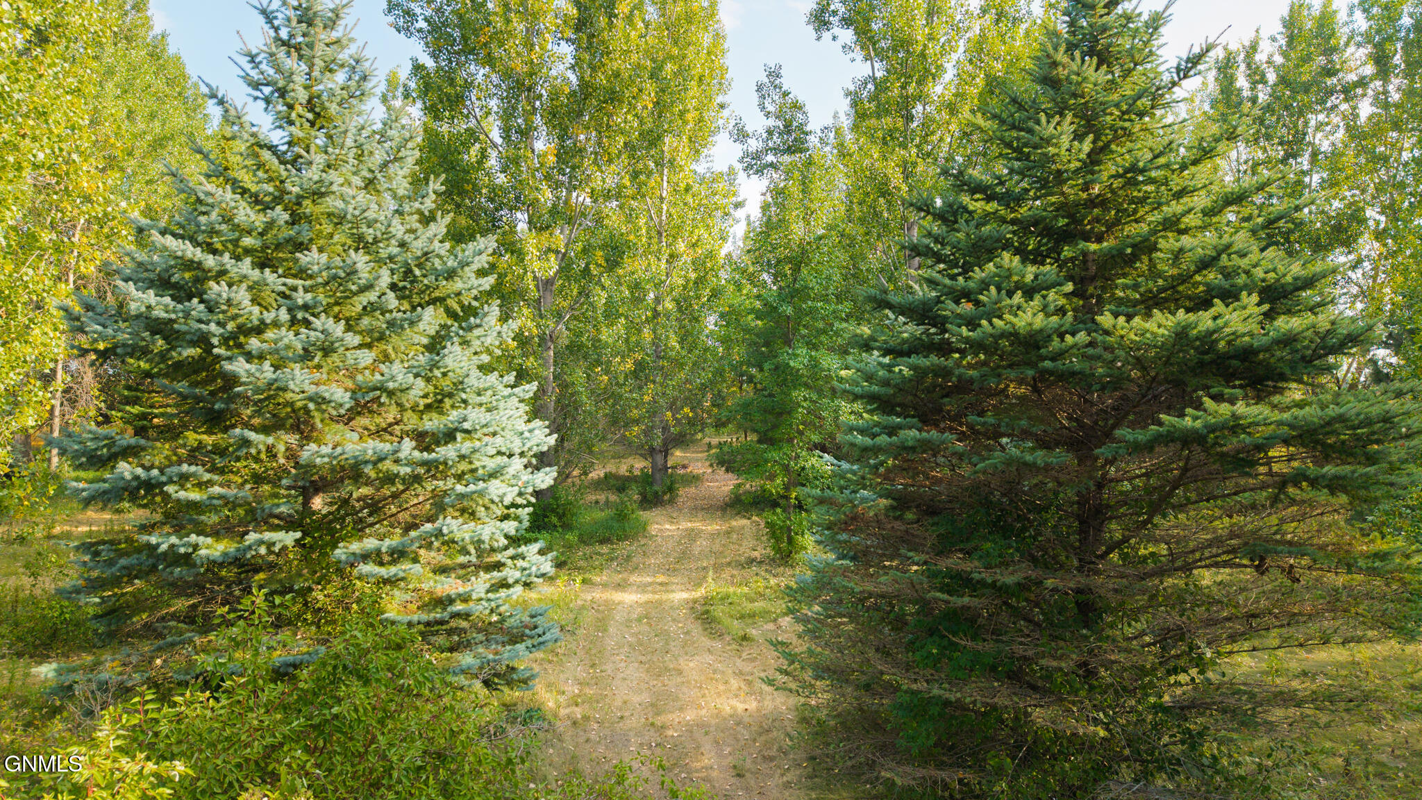 main property photo 54