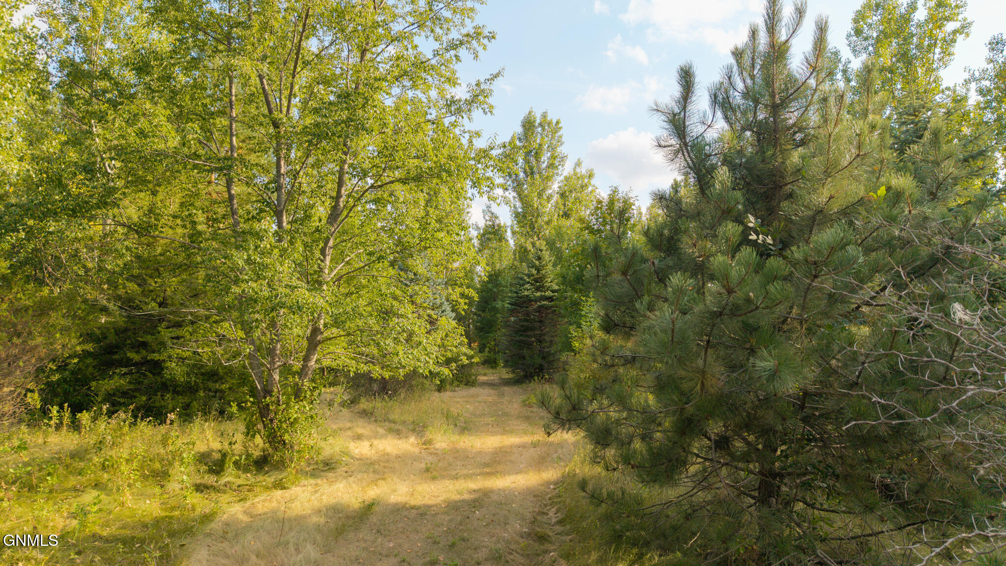 main property photo 55