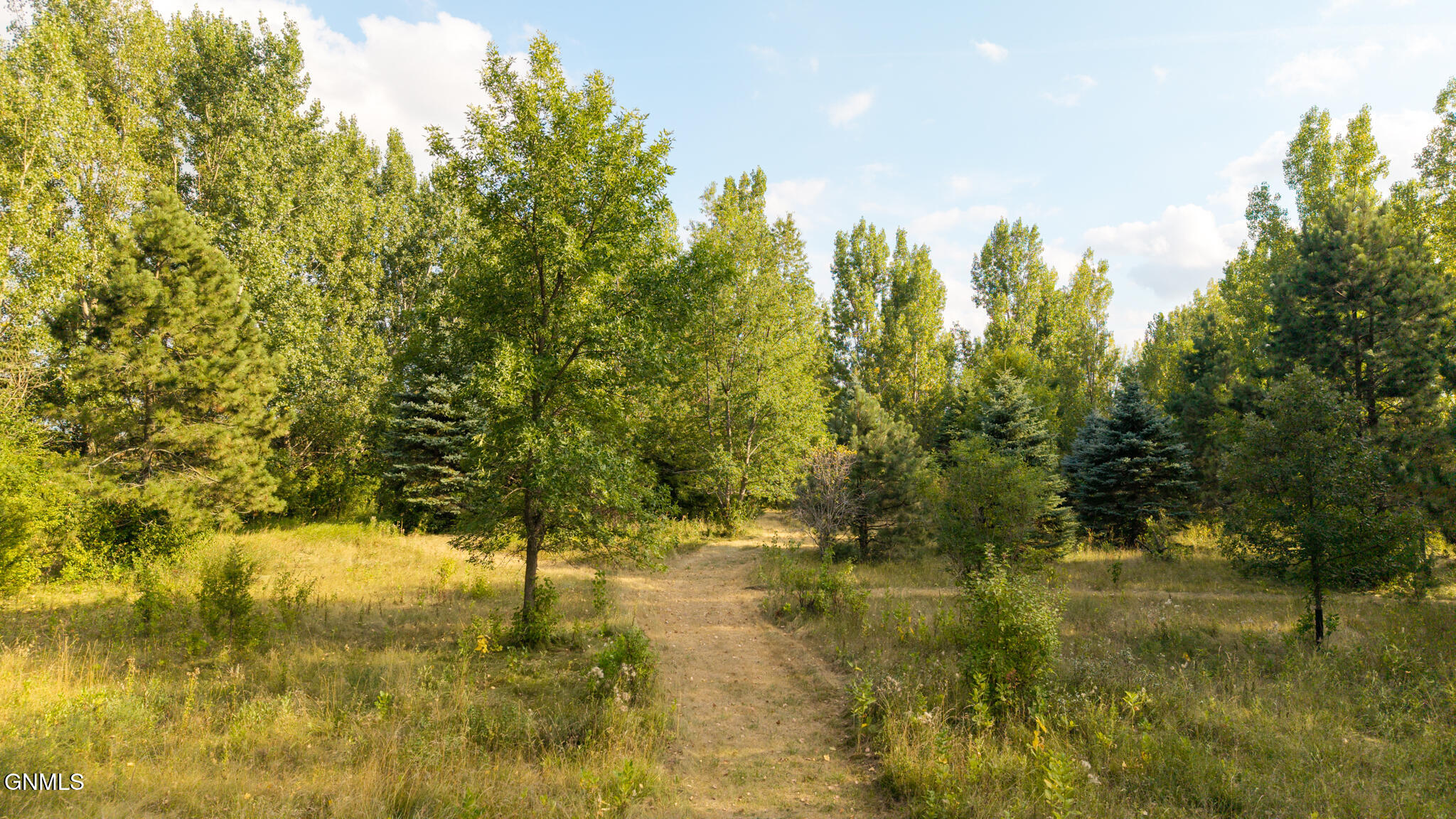 main property photo 56