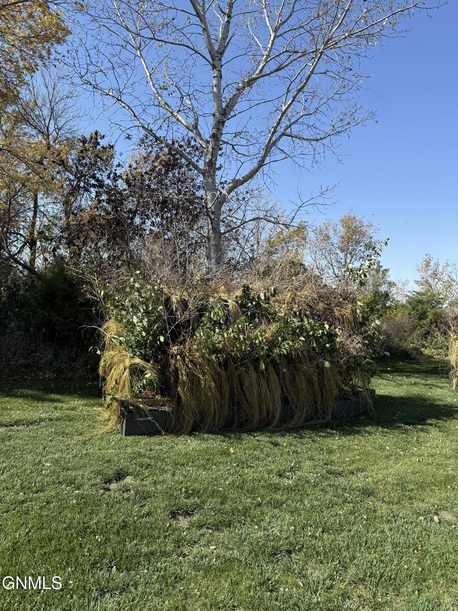 main property photo 53