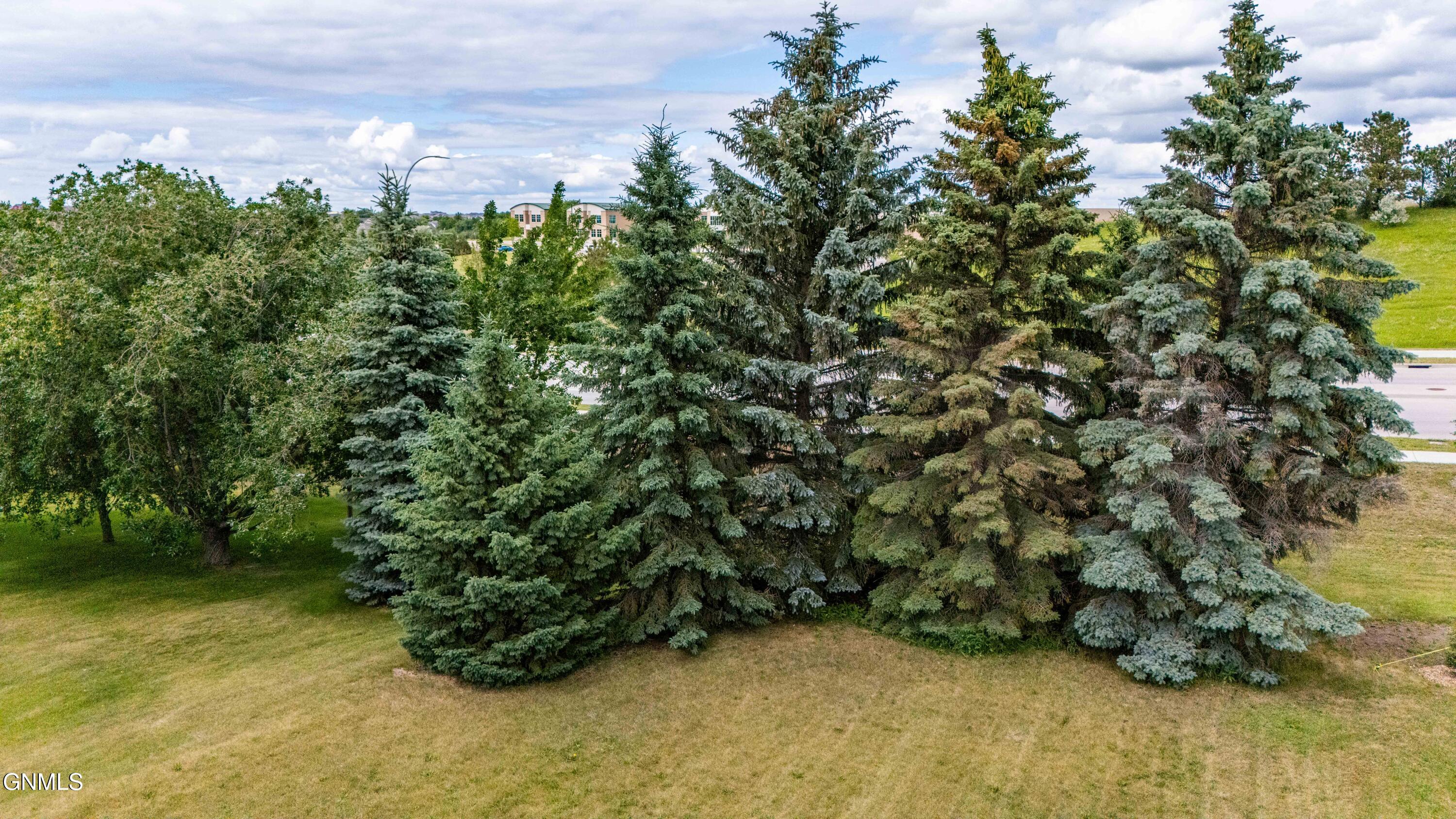 main property photo 54