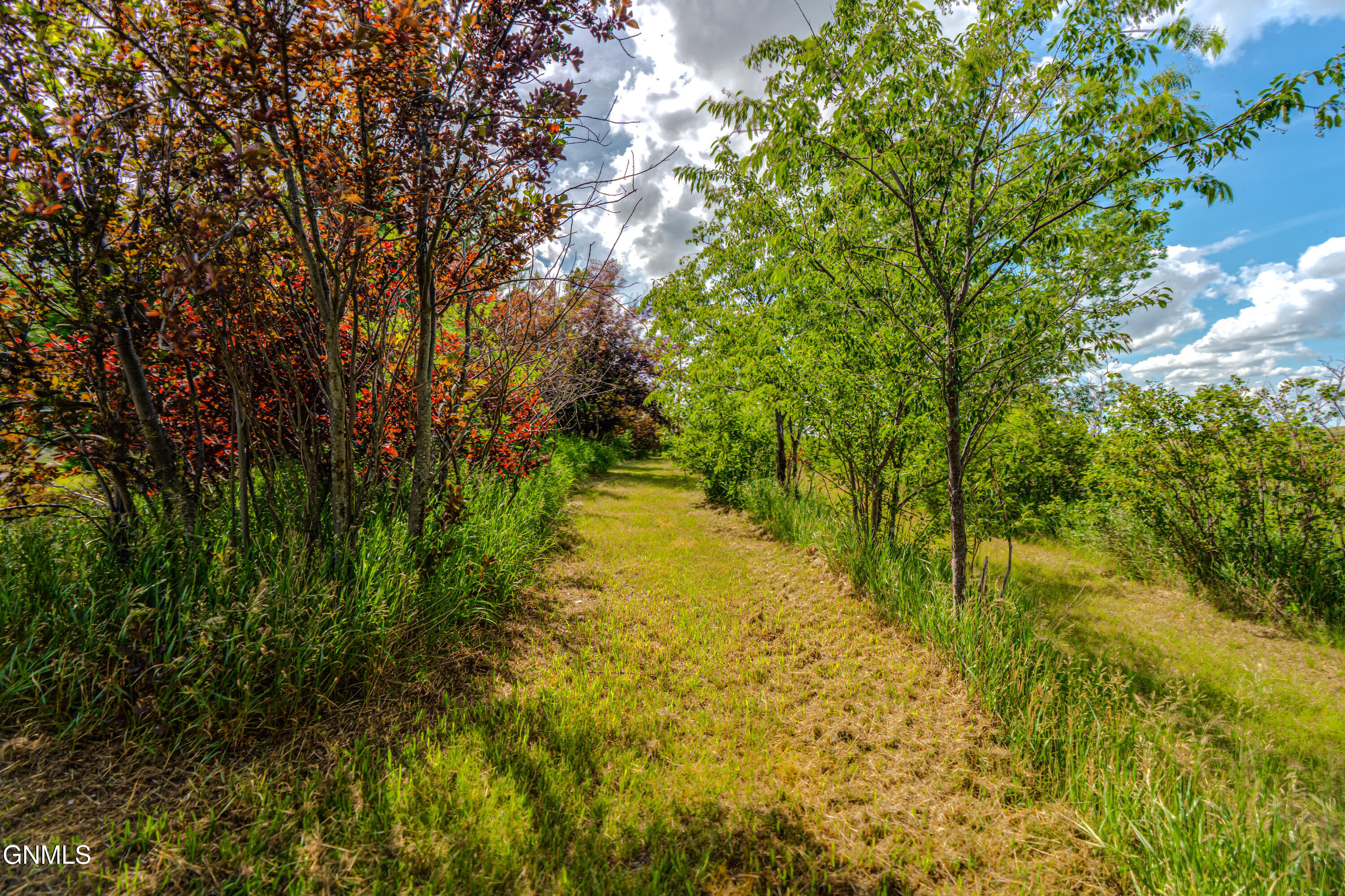 main property photo 89