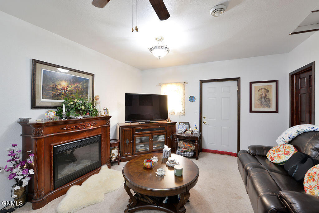 main property photo 96