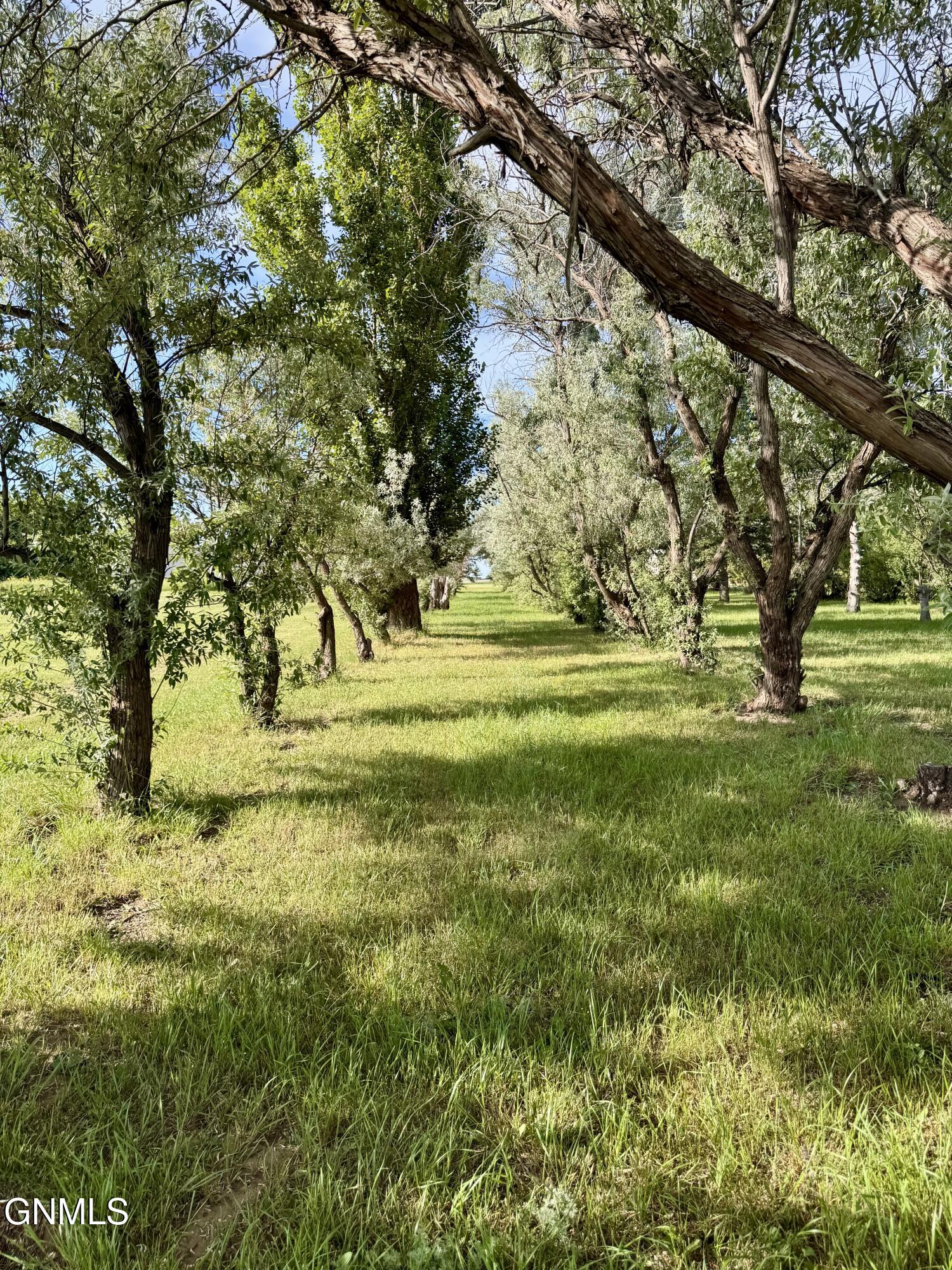 main property photo 13