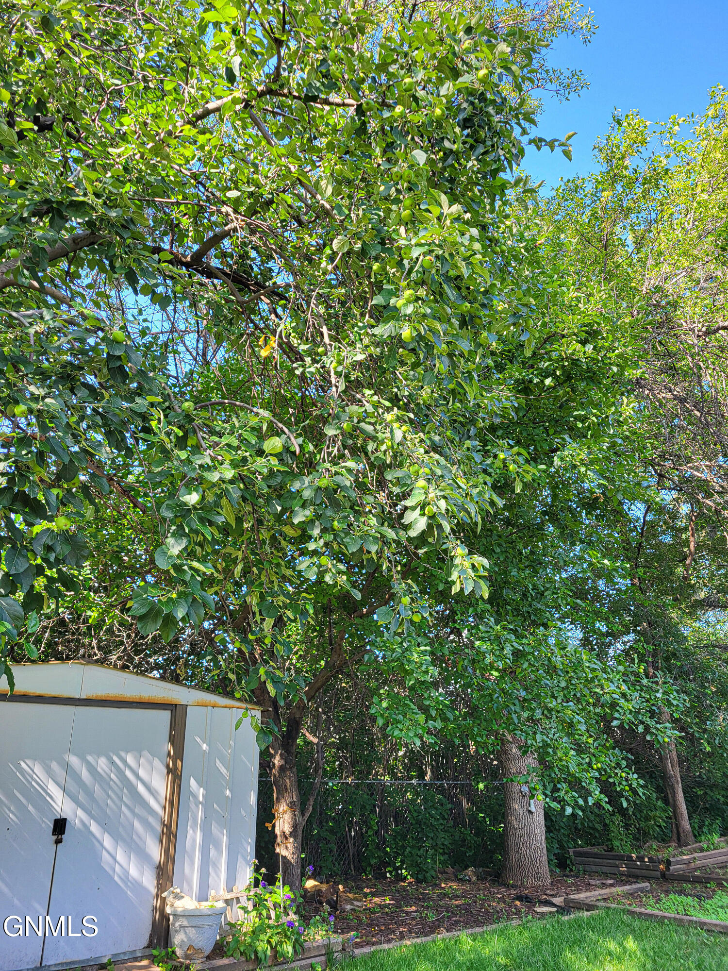 main property photo 34