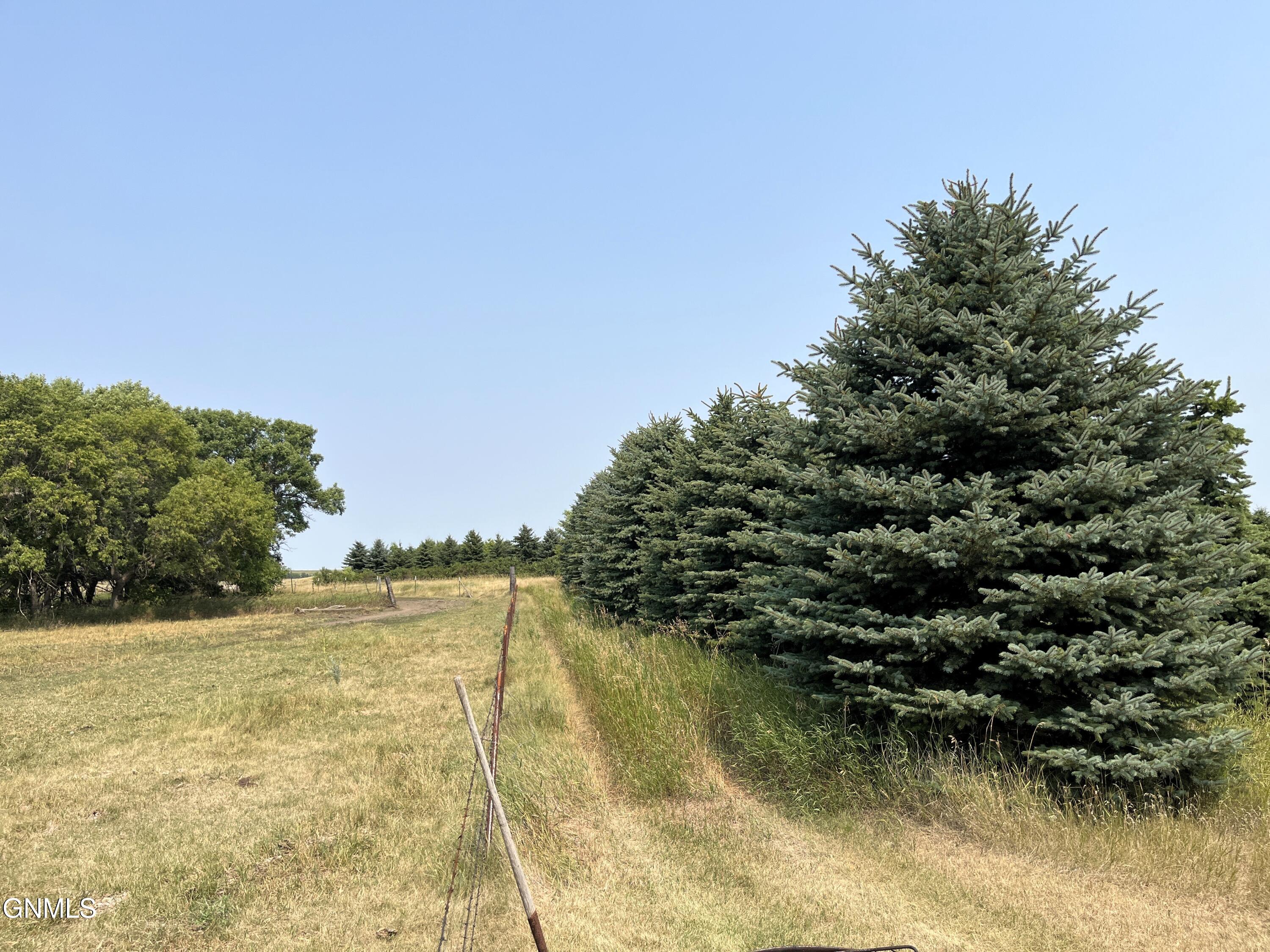 main property photo 55