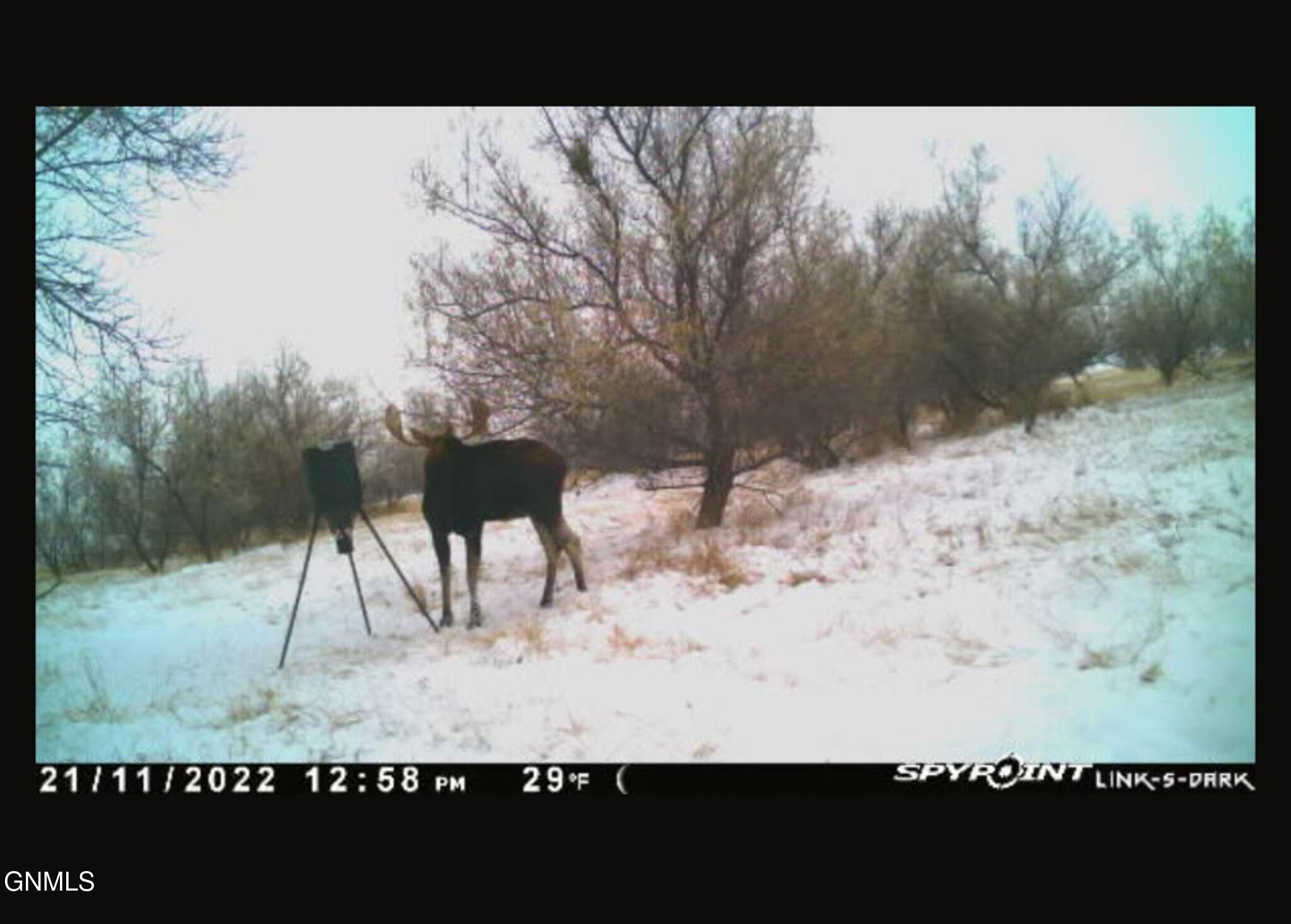 main property photo 110
