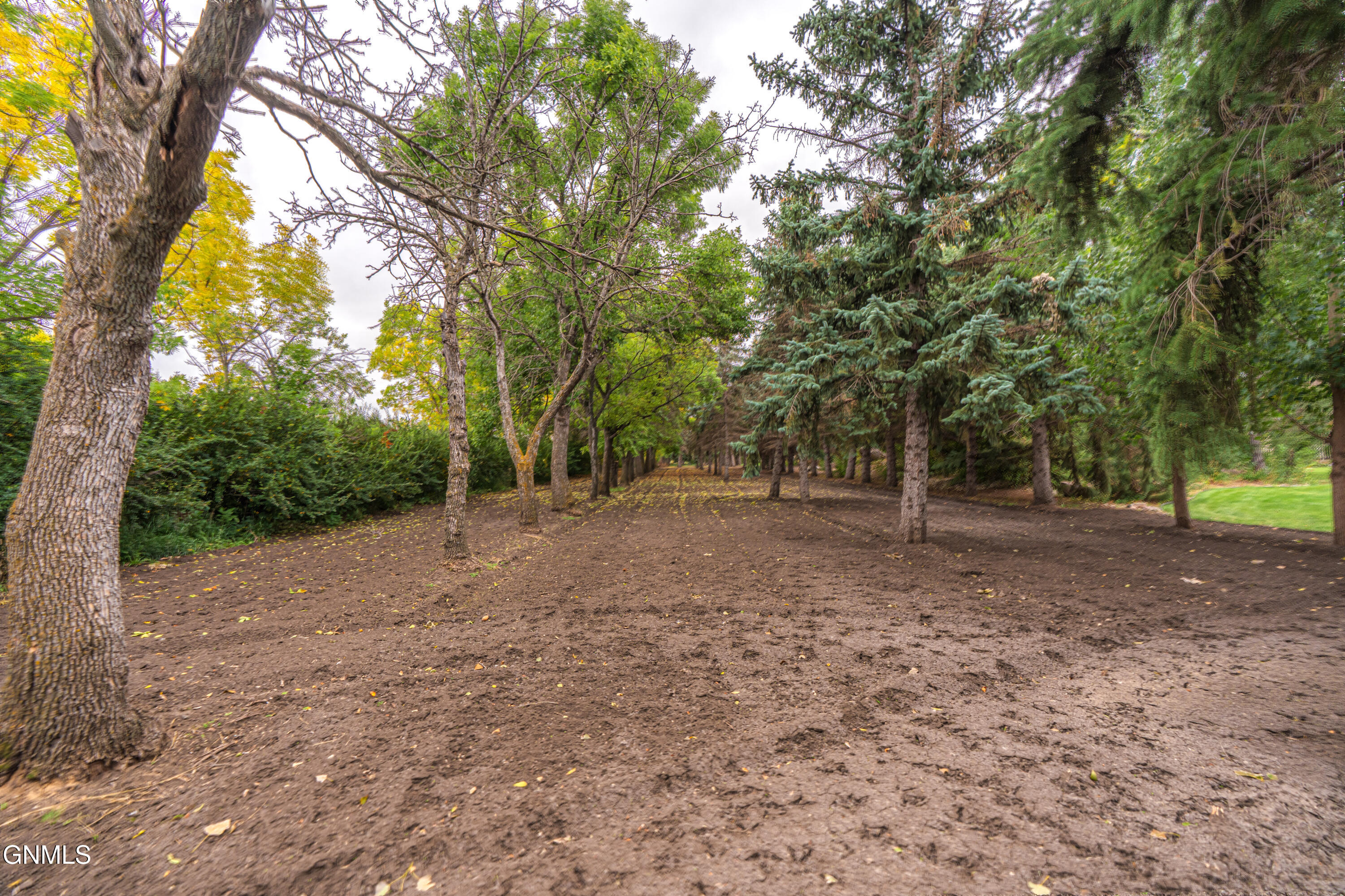 main property photo 119