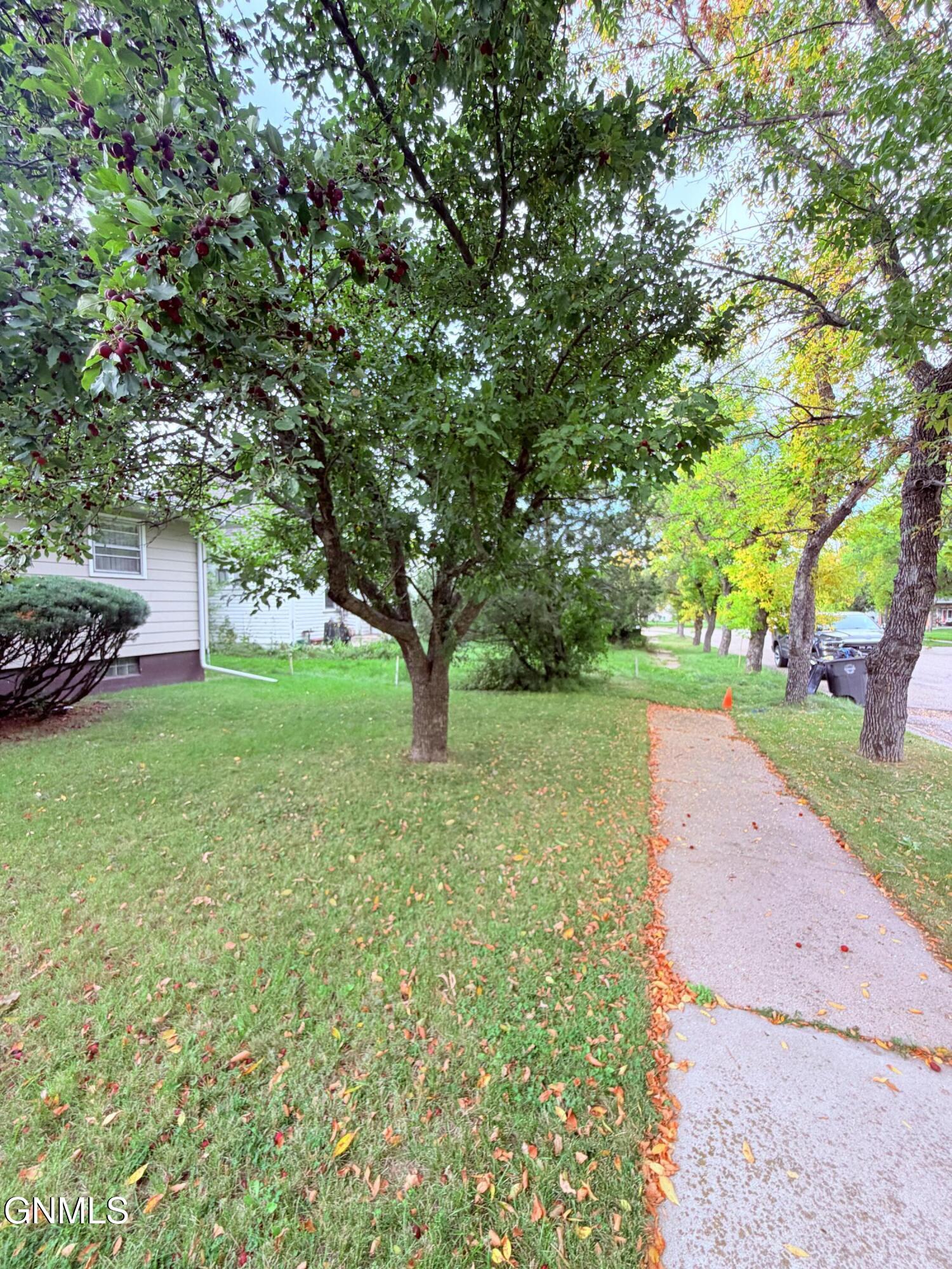 main property photo 35