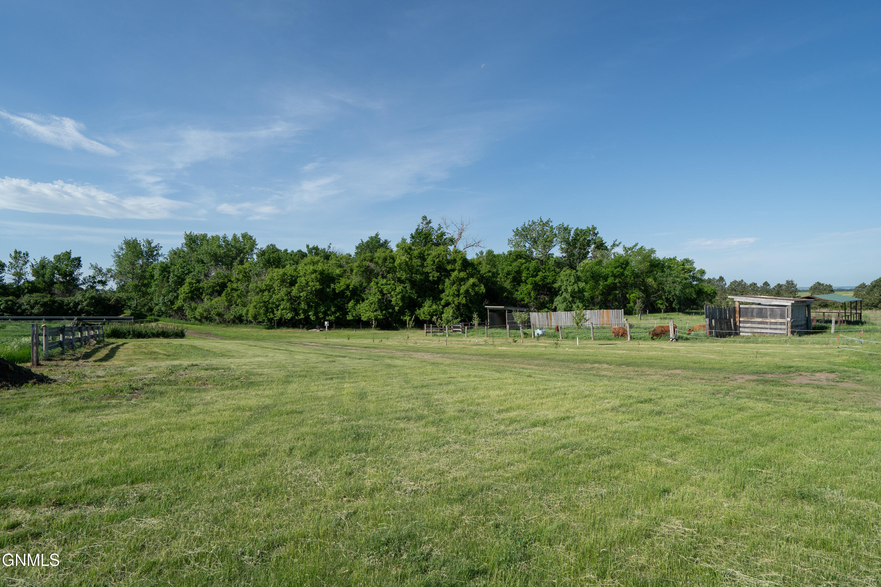 main property photo 56