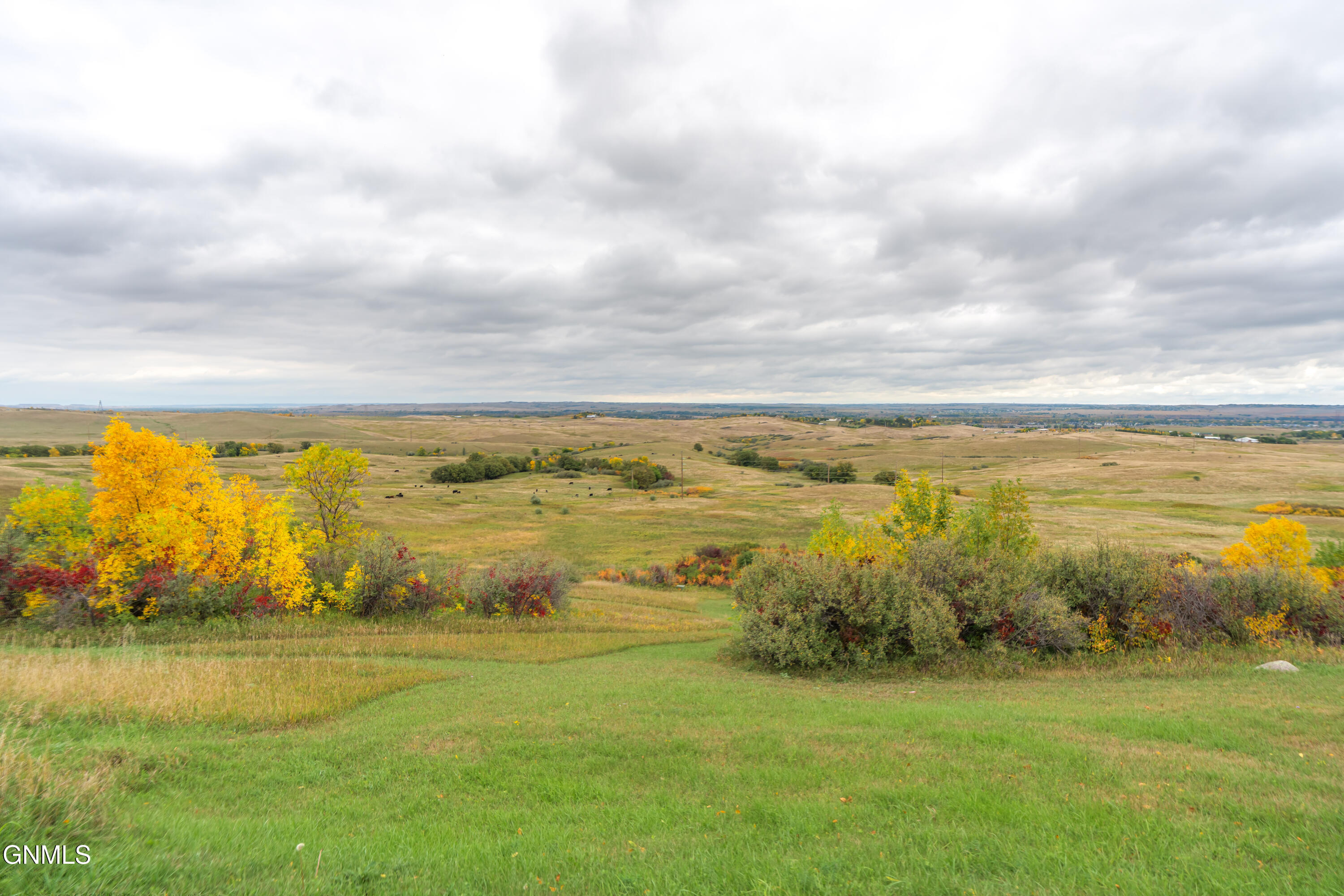 main property photo 43